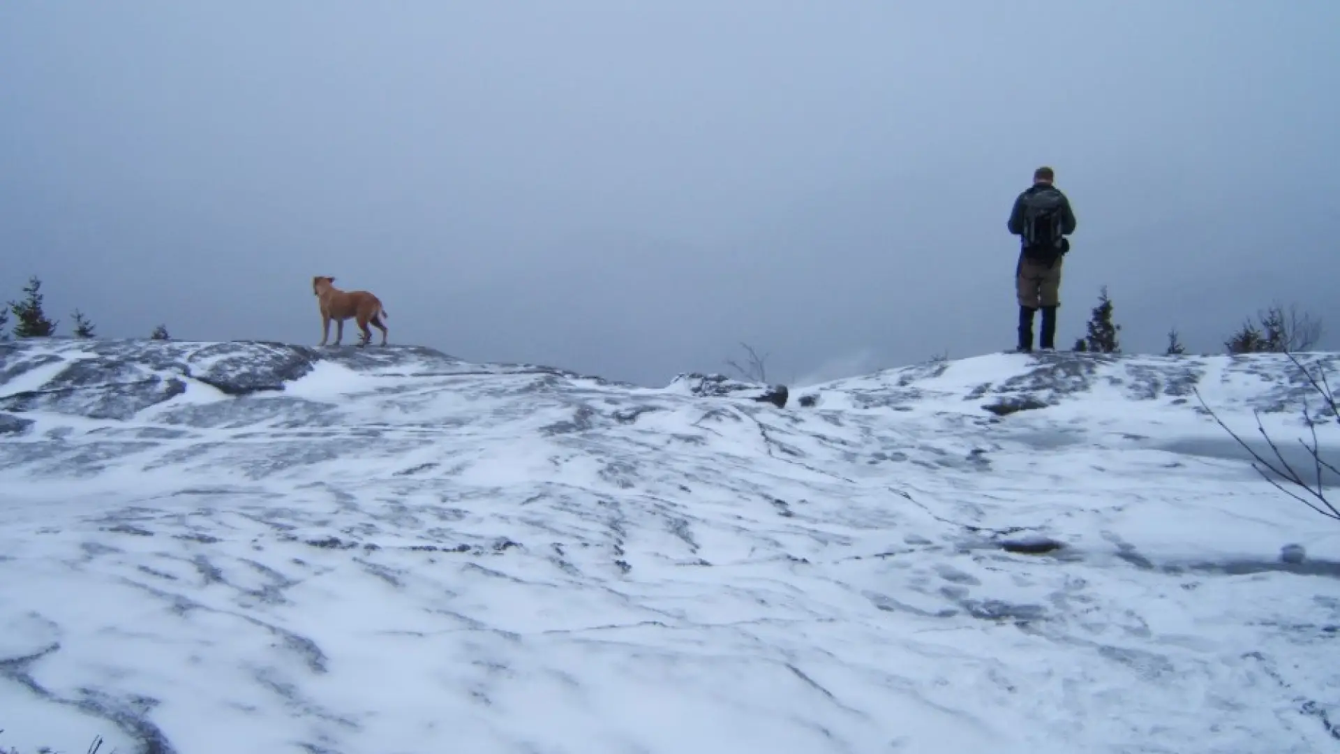 Mount Jo