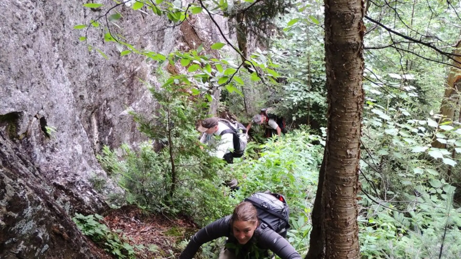 A the steep slopes near the cliffs