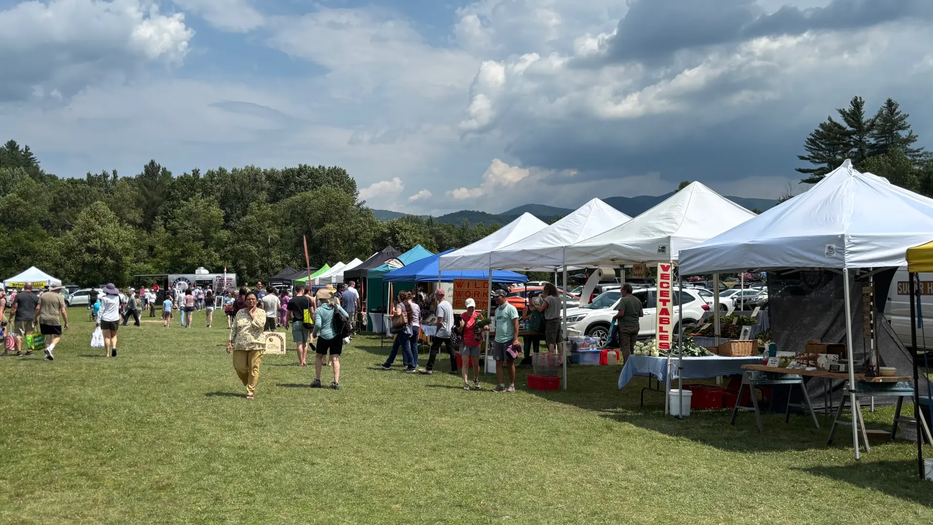 A long line of colorful vendor tents with happy people wandering between them on a lush grass lawn under blue skies.