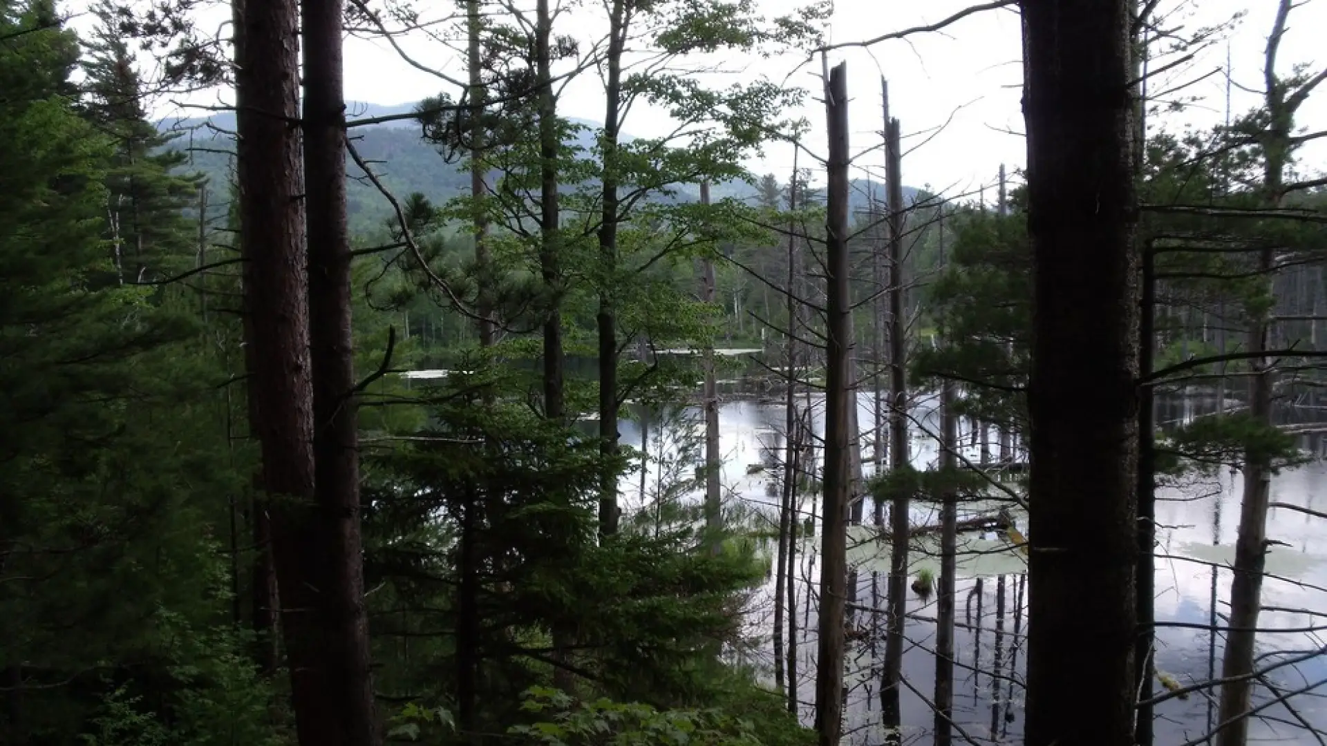 The trail follows the river for much scenic beauty.
