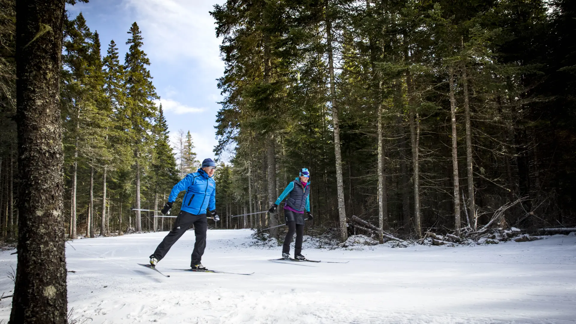 One male and one female-presenting adults cross country ski on a snowy trail in a mixed woods forest.
