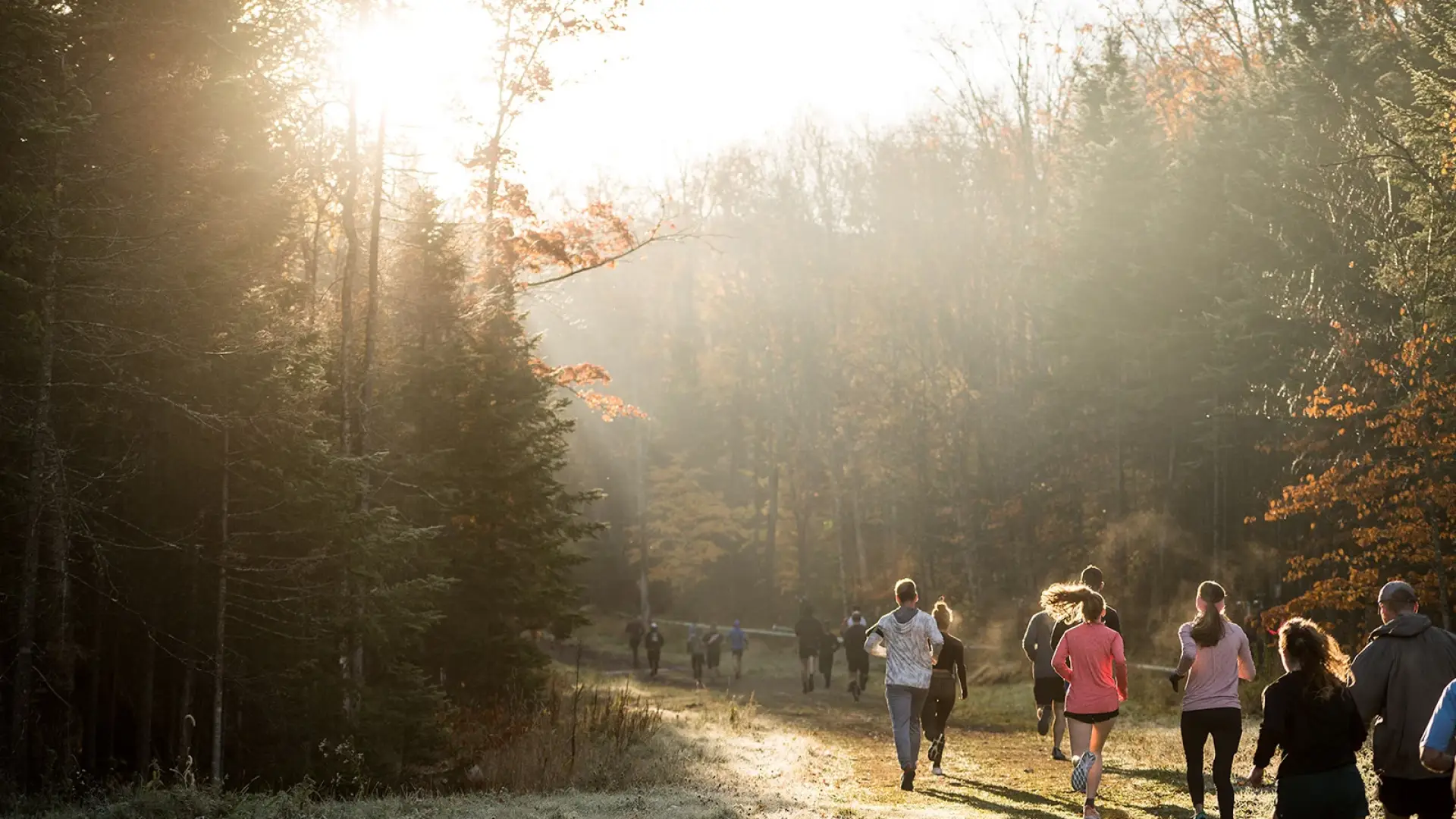 Group of people run on wide grassy path between trees in fall with warm light shining through treetops