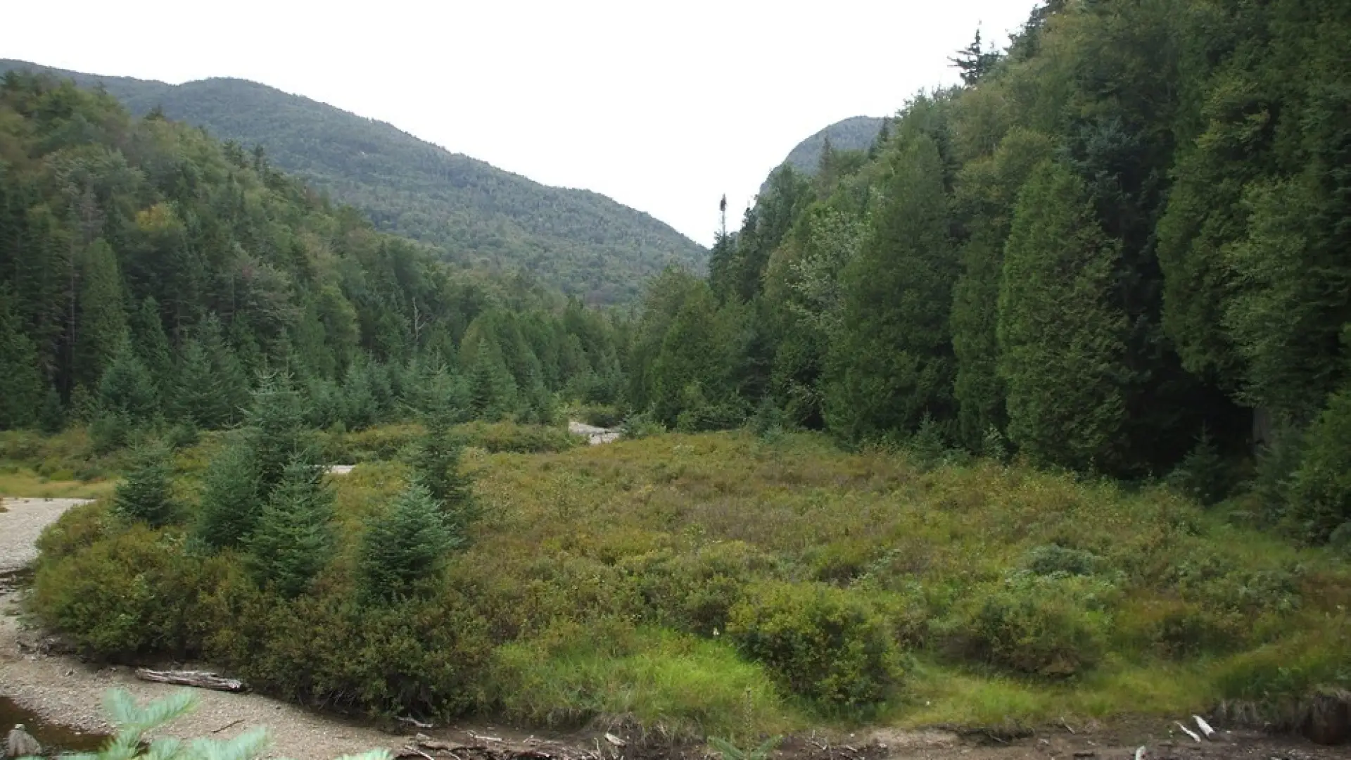 The MacNaughton bushwhack offers unique scenic views.