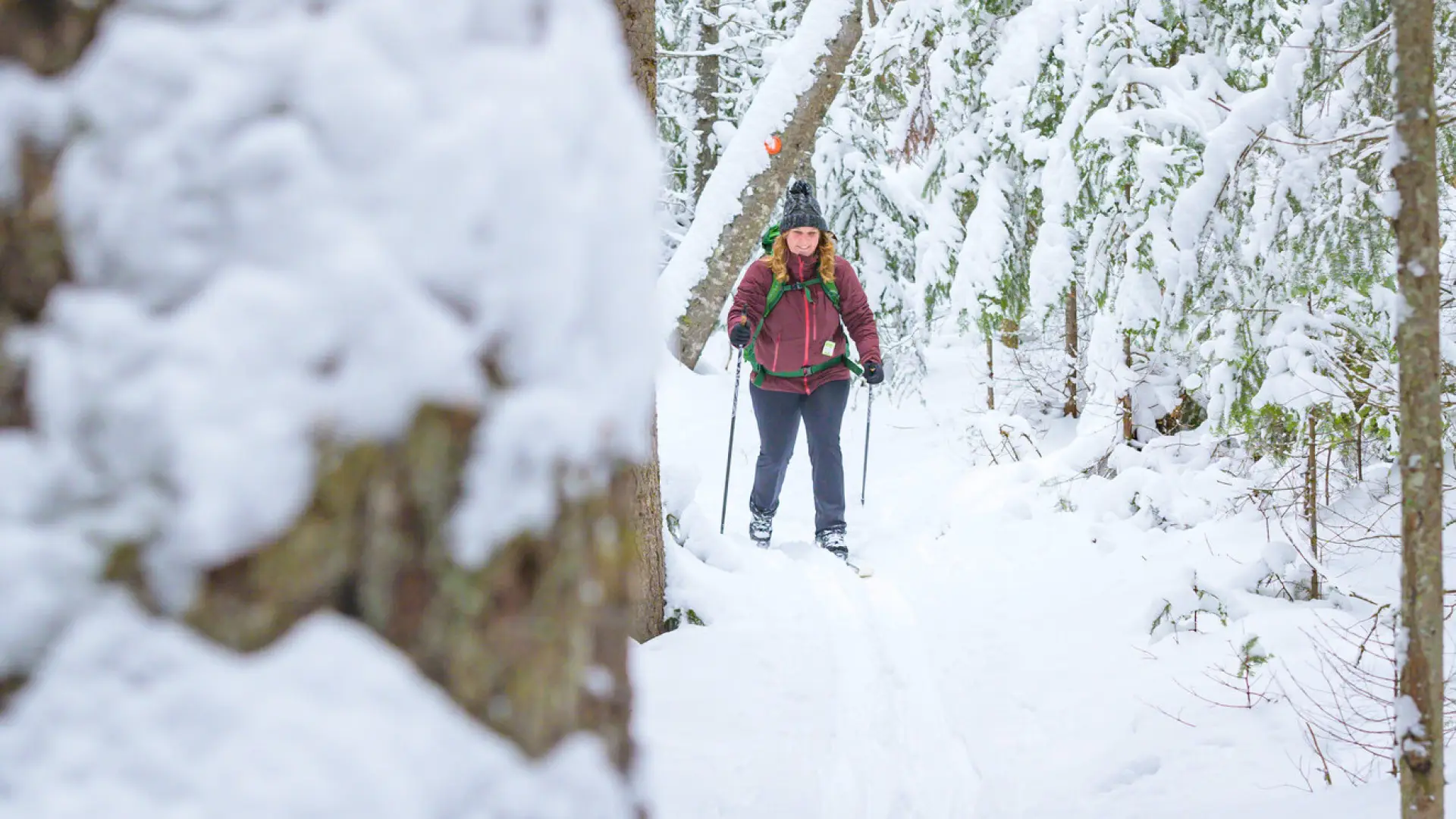 A woman with blonde hair and a maroon coat skis in a snowy forest.