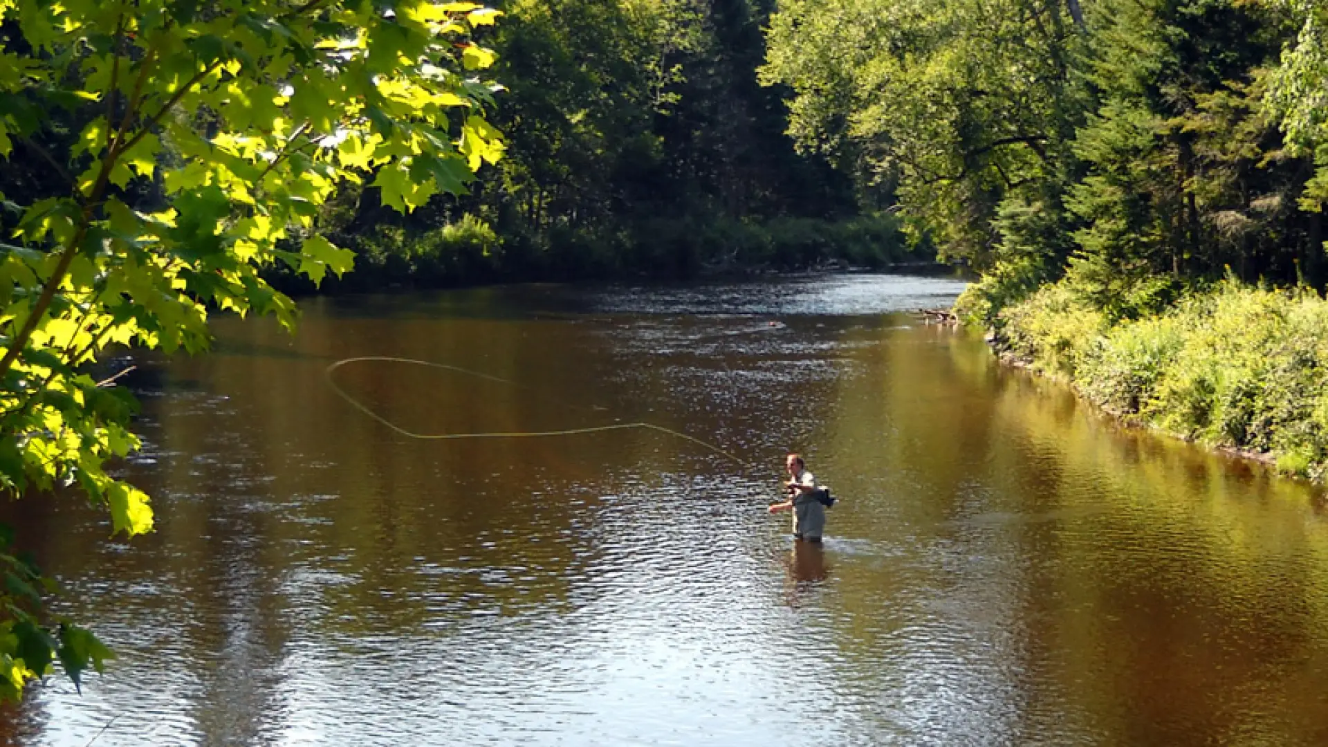 Fishing on the serenity of the Ausable River