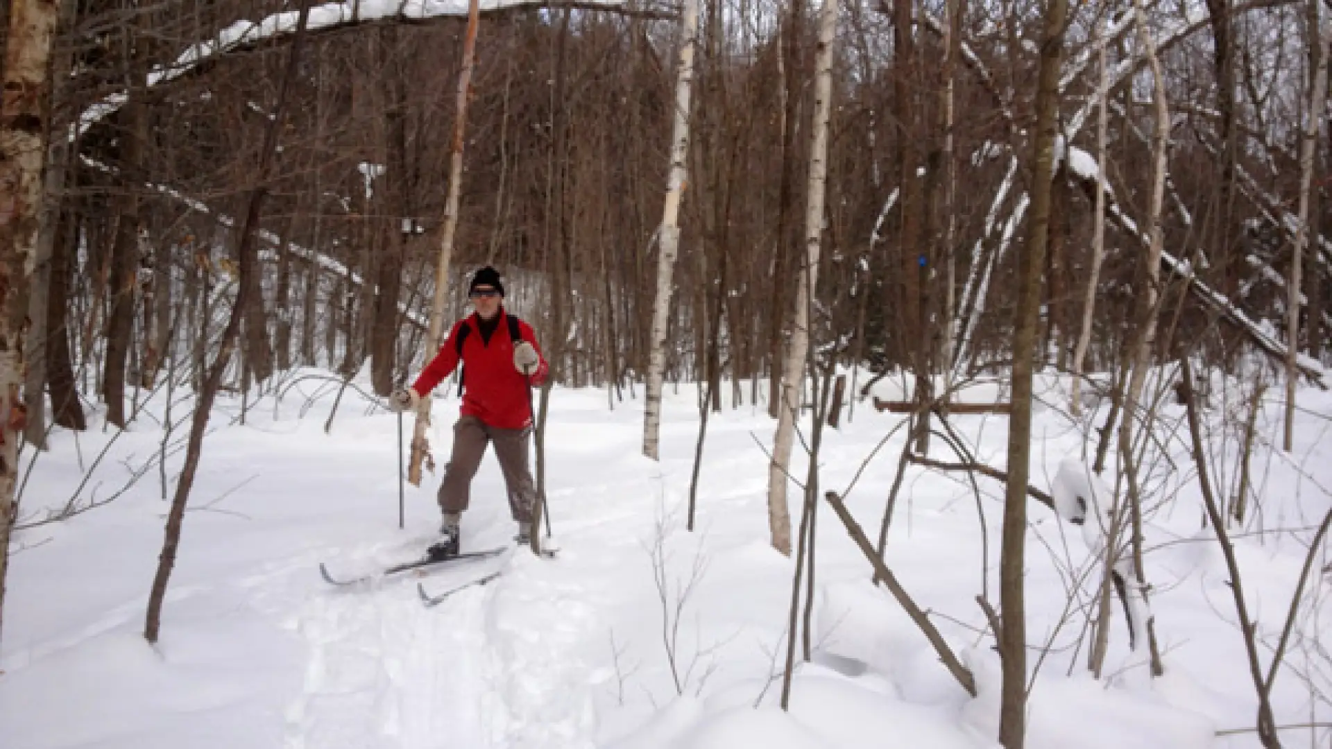 Cross Country skiing on CATS trail