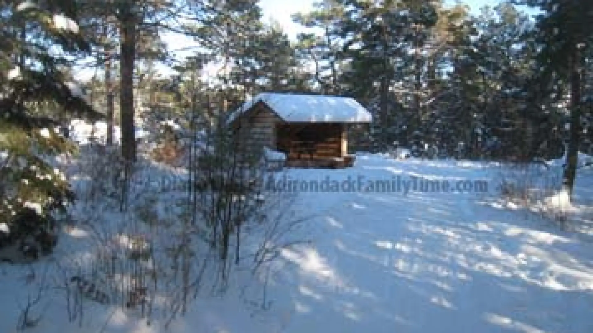 Wild Center lean to