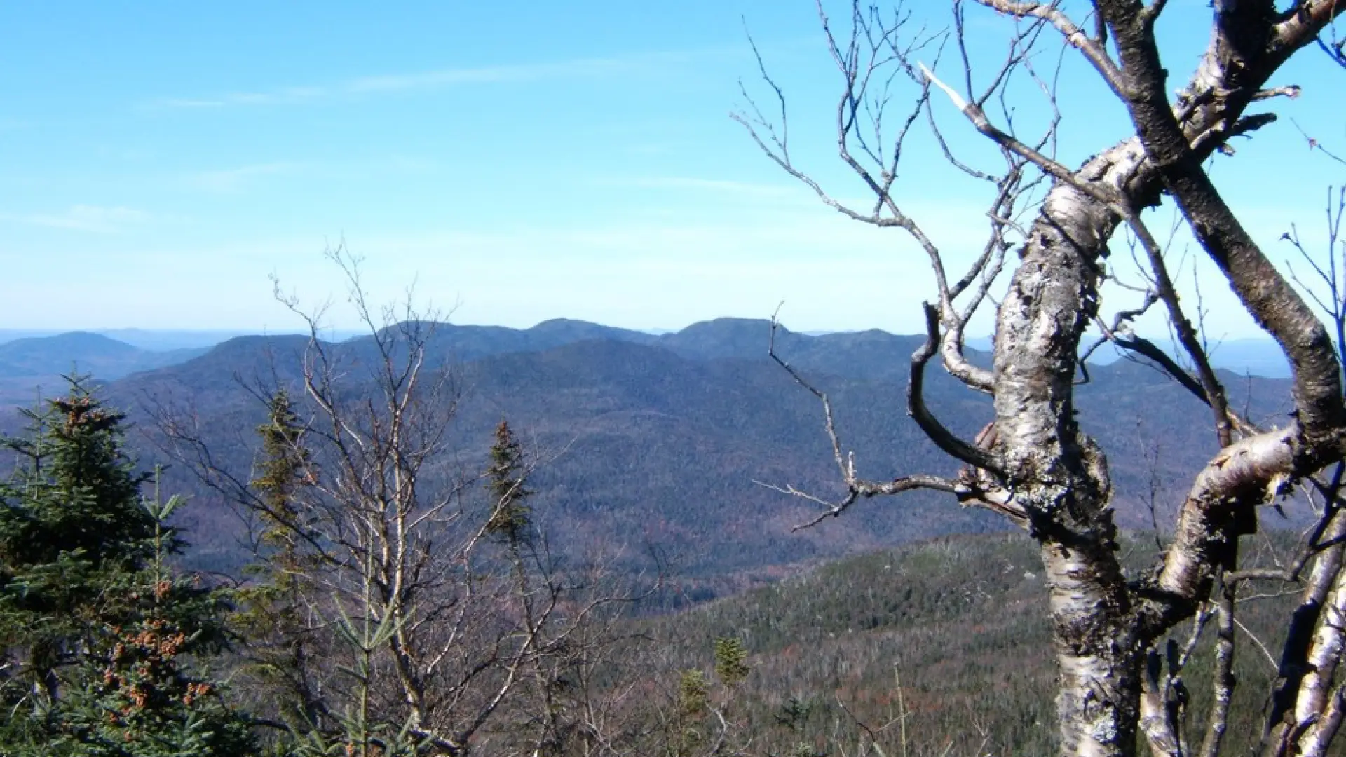 View from the "47th High Peak," MacNaughton Mountain.