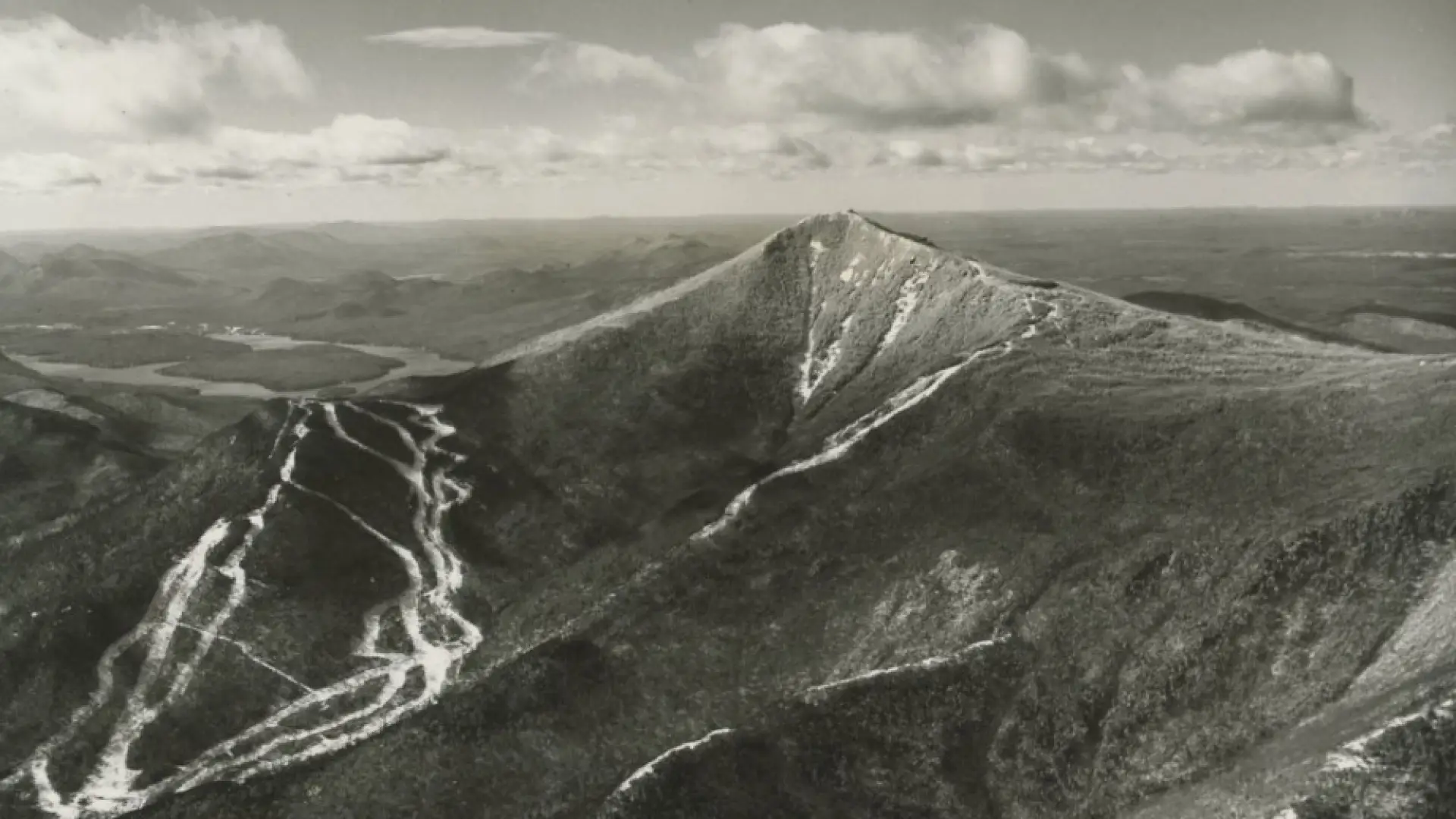 whiteface