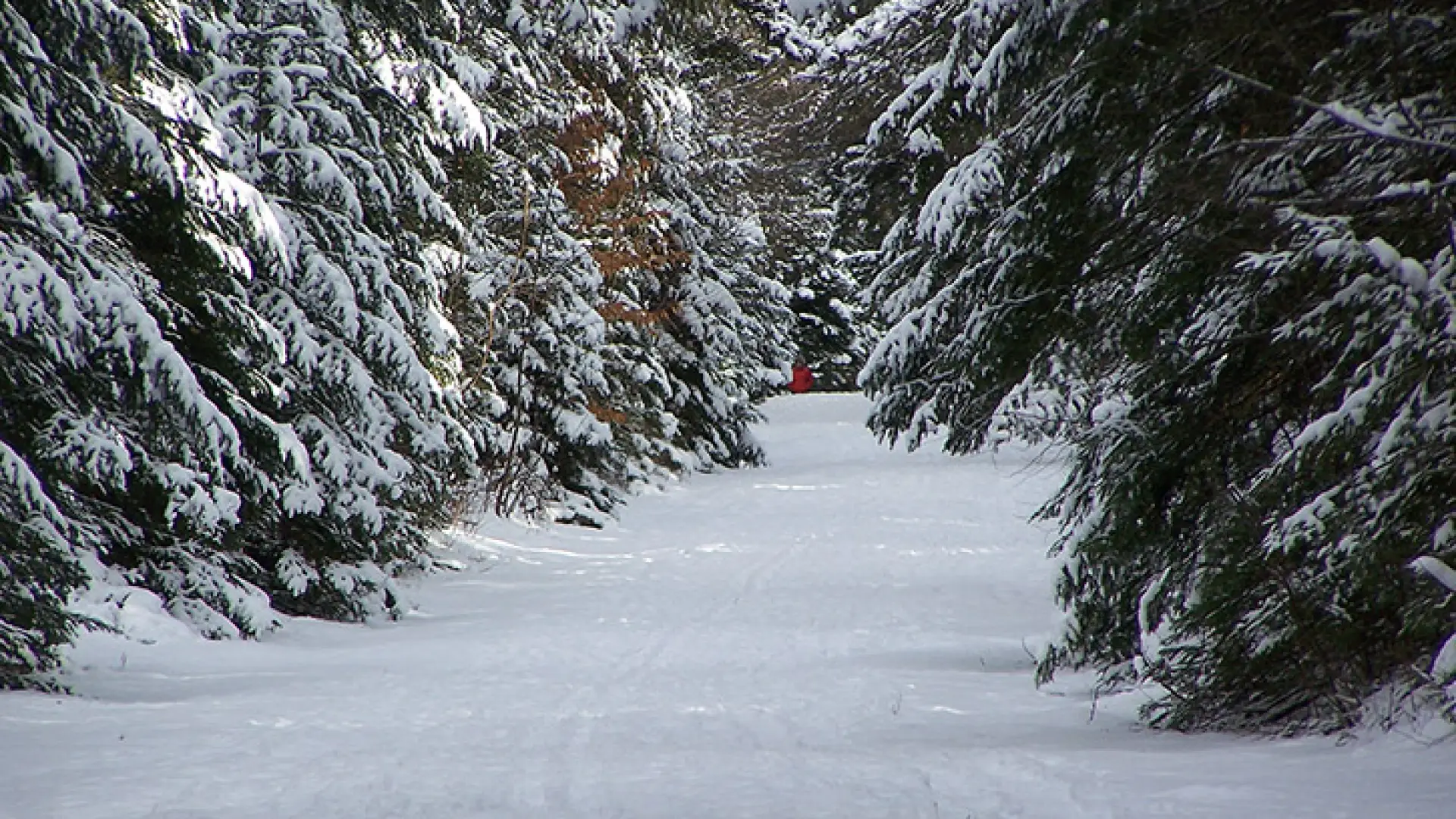 Adk. Loj Truck Trail