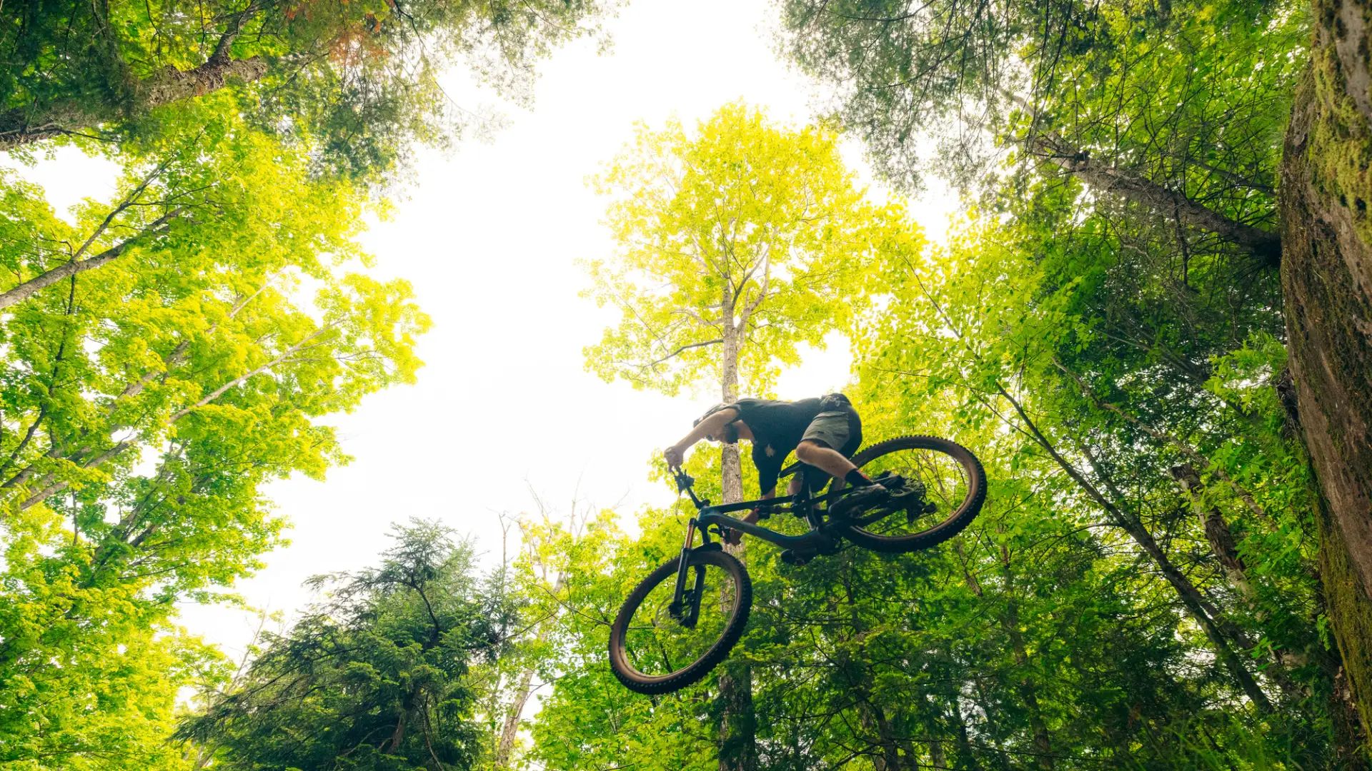 A mountain biker getting air