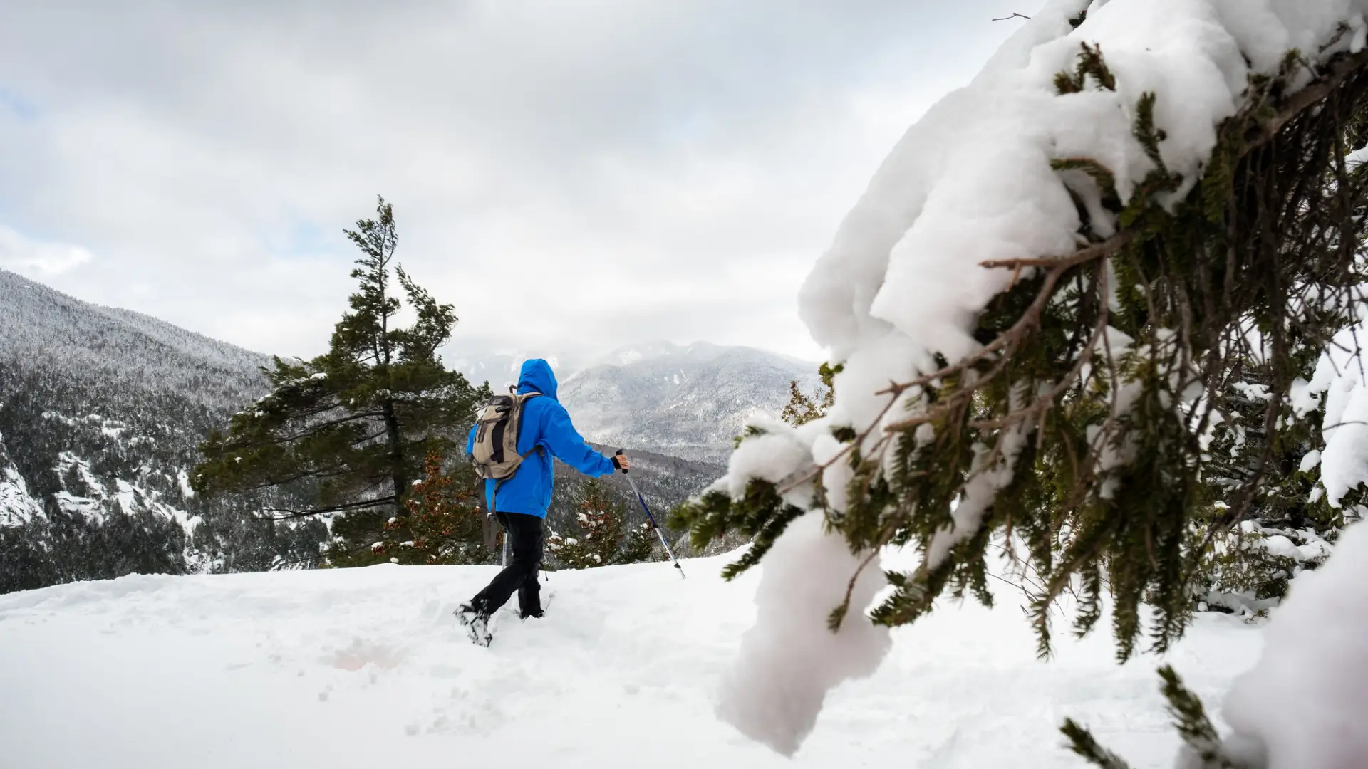 A man walks through thick snow in a bright blue jacket, using walking sticks.