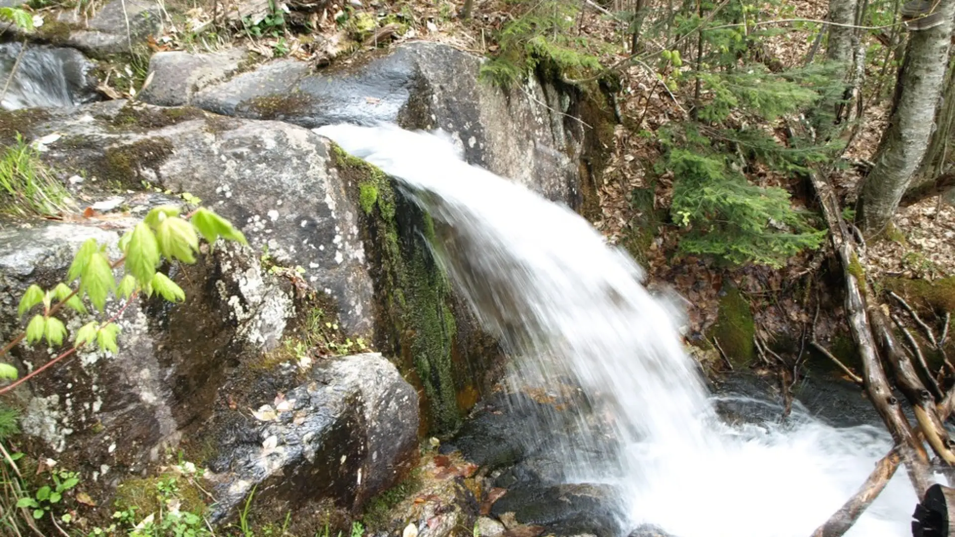 Look for a waterfall on the way to Bear Den Mountain.