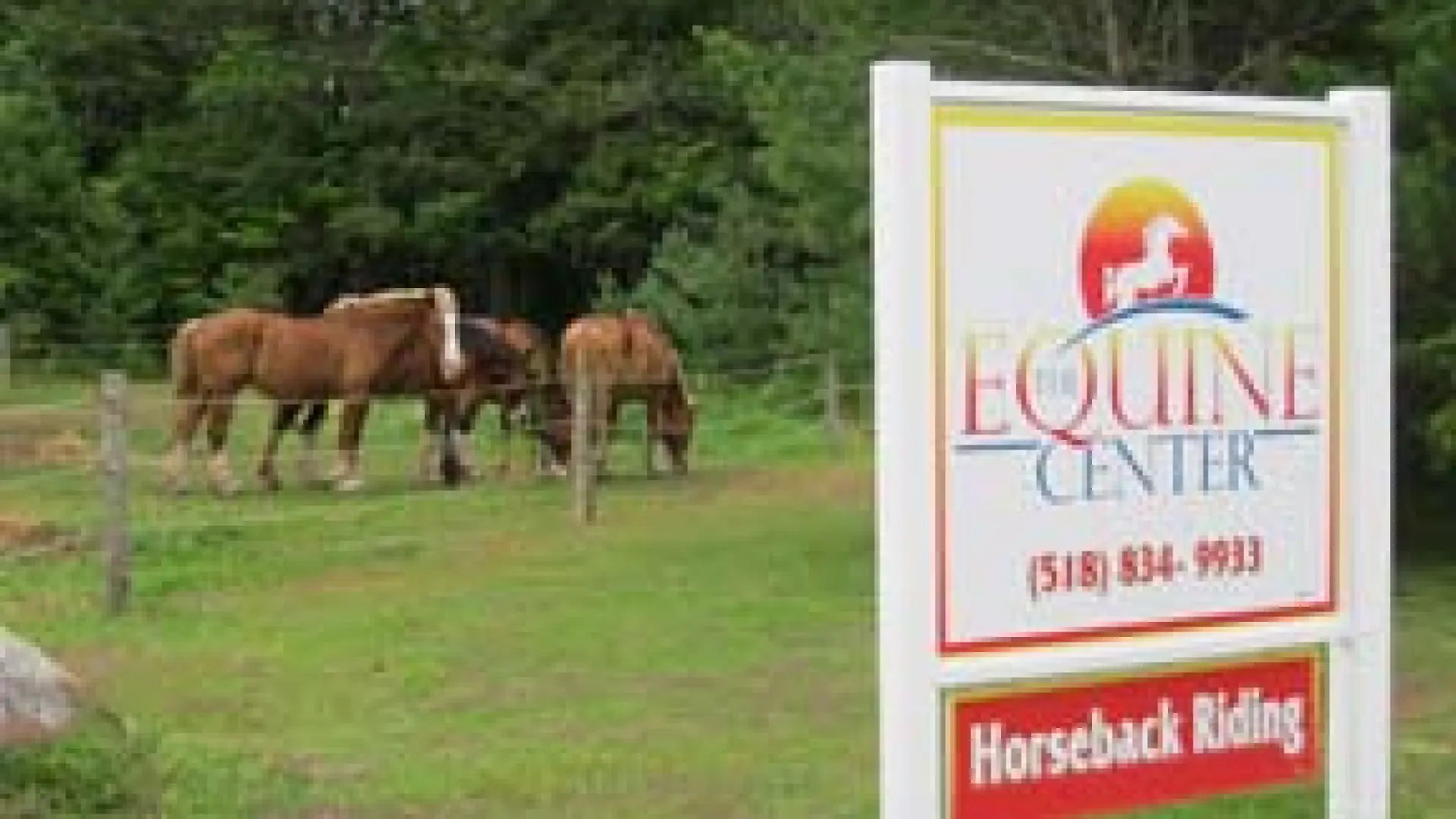 Adirondack Equine Center