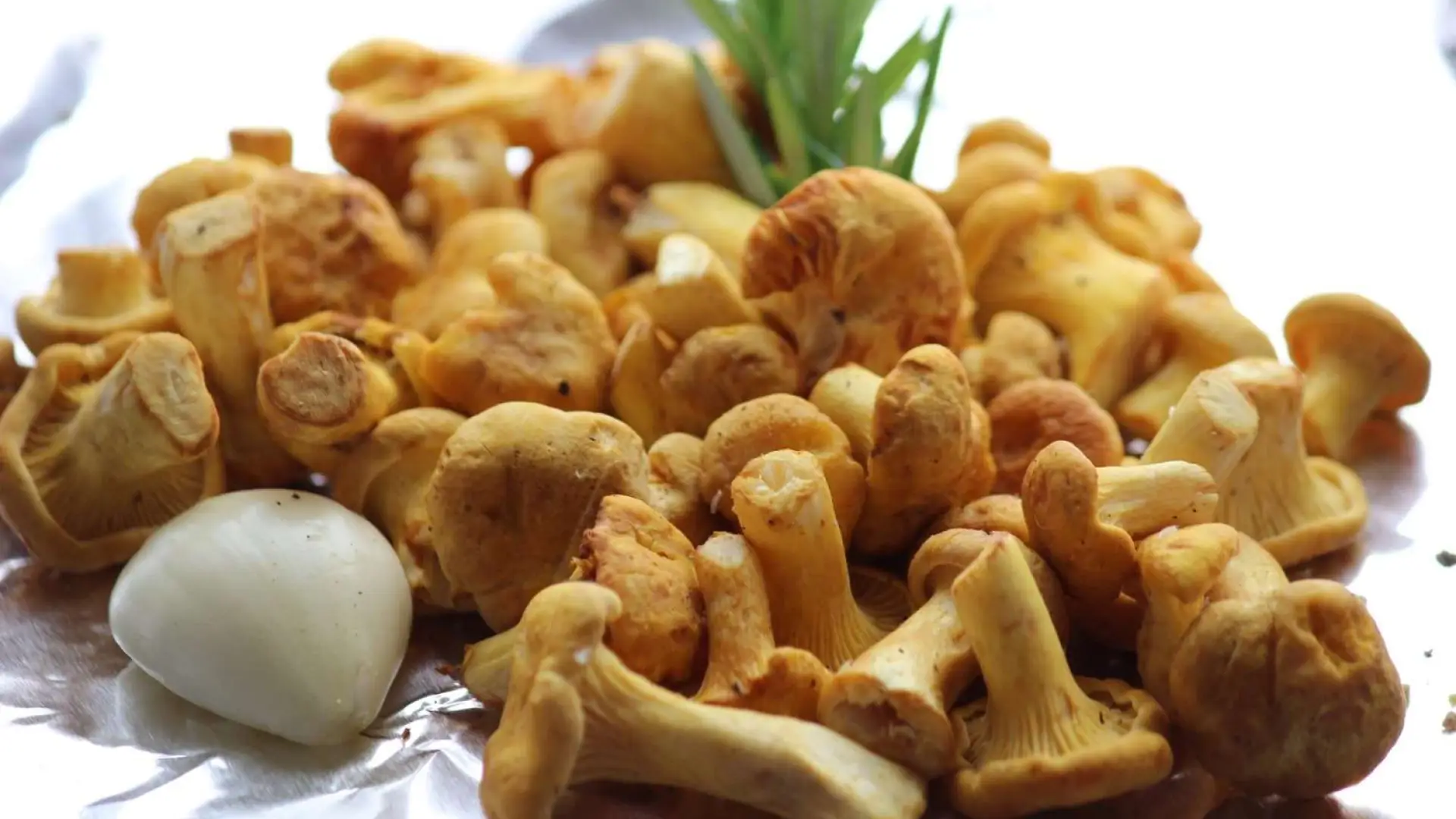 A heaping pile of beautifully colorful chanterelle mushrooms, a huge clove of bright white garlic and a sprig of rosemary await being cooked to perfection.
