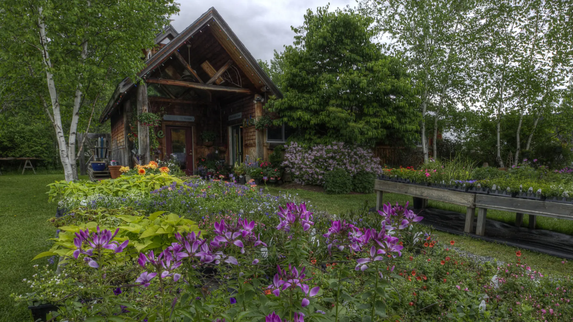 Annuals on tables line the stone path into the Garden Center.