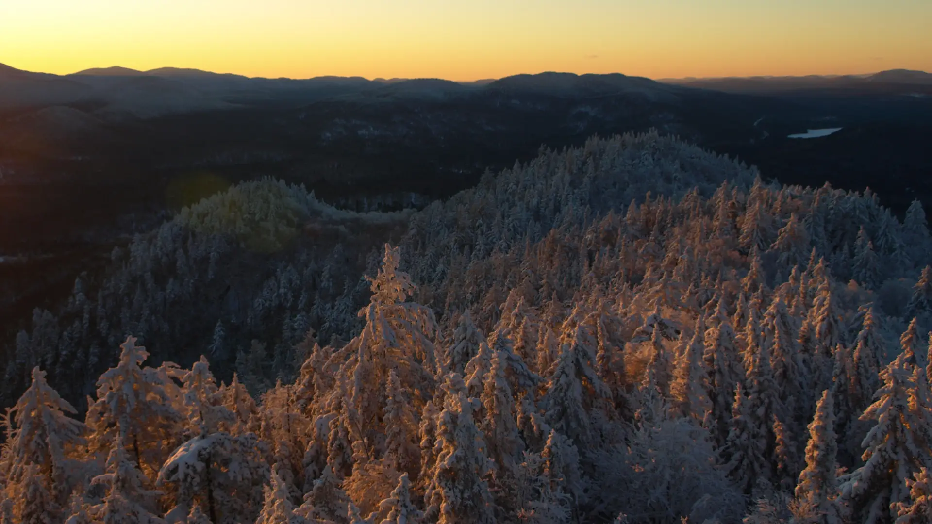 Bring headlamps for dawn and dusk photos.