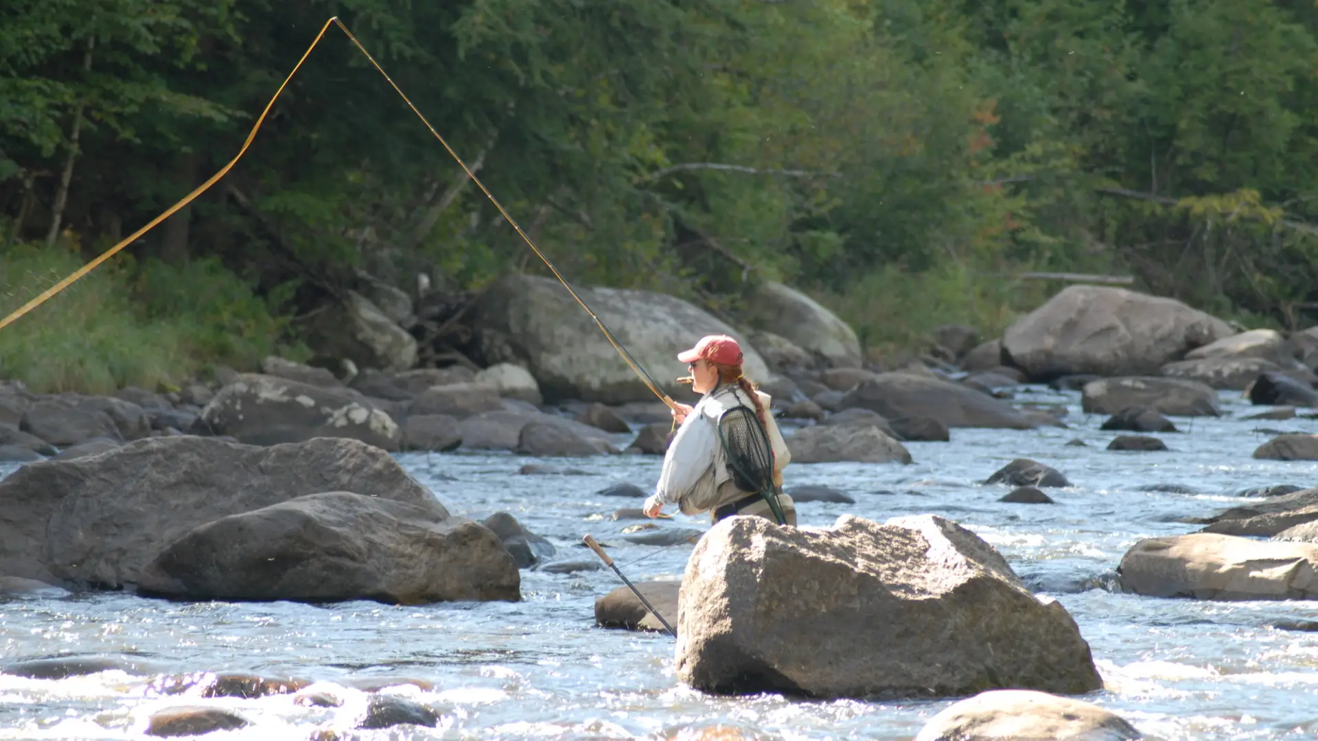 A woman casts a fly fishing lure in a stream.