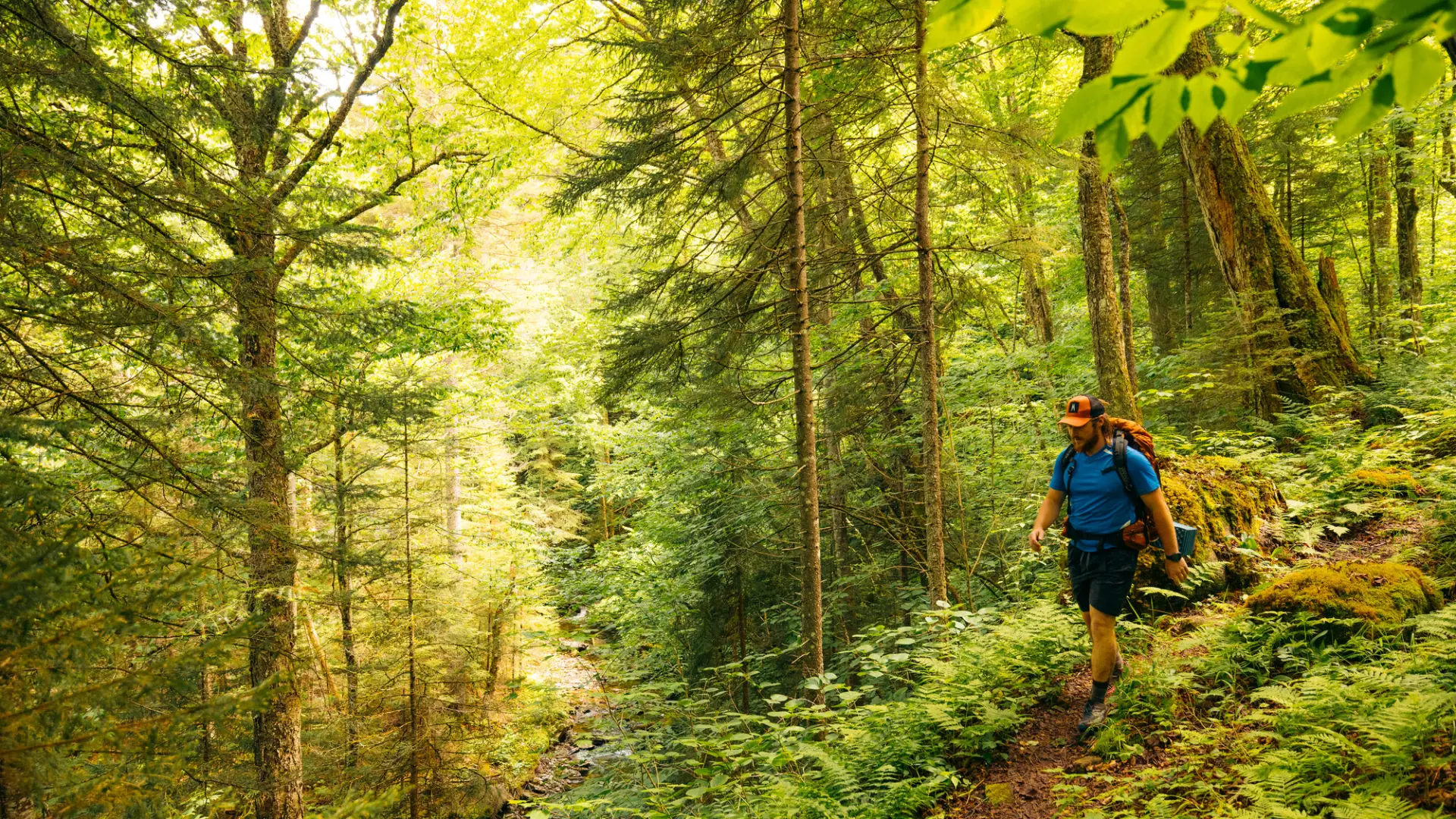 A backpacker on the Northville-Placid Trail