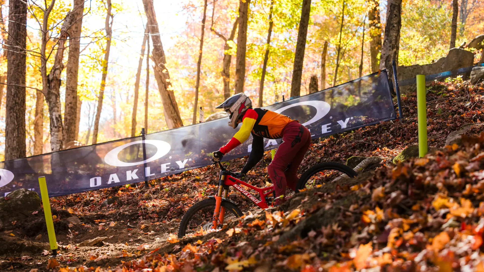 Downhill mountain bike races passes Oakley branded event fencing in forest with fall leaves during UCI MTB Dowhill World Cup