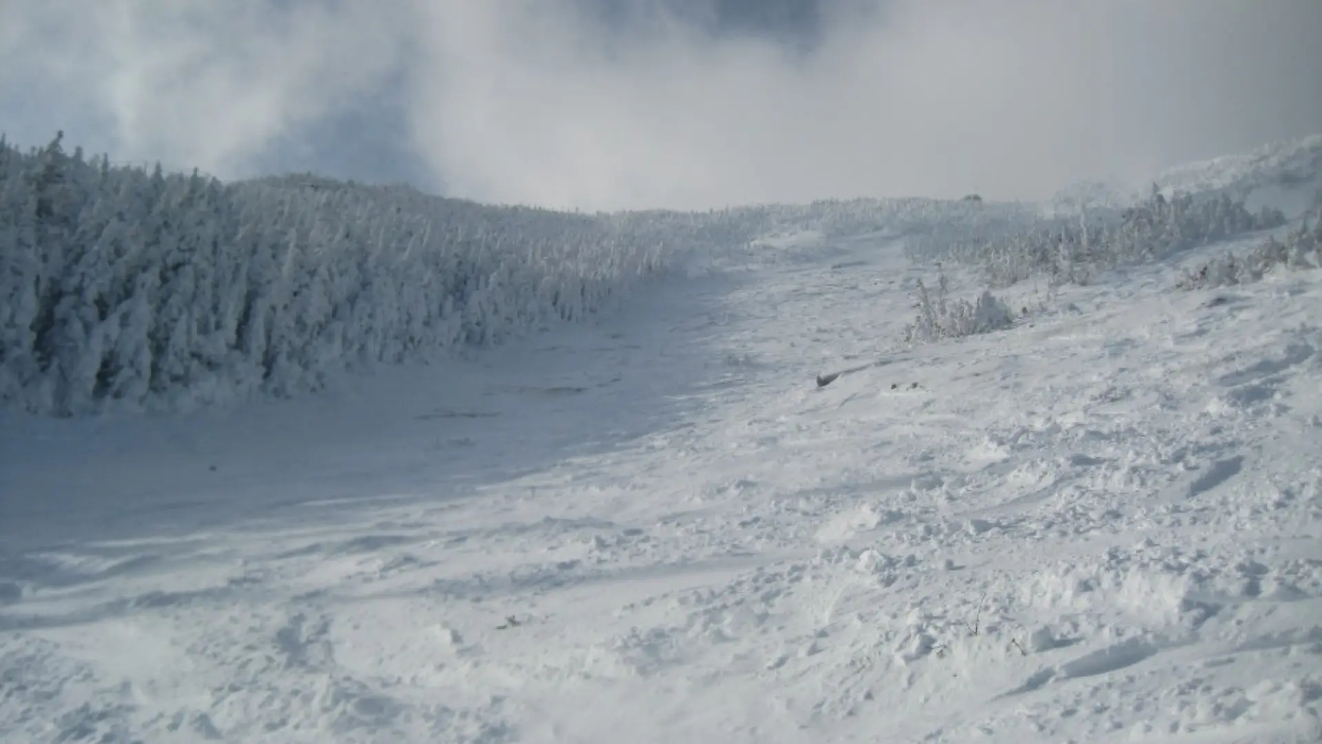 Slide 1 Whiteface