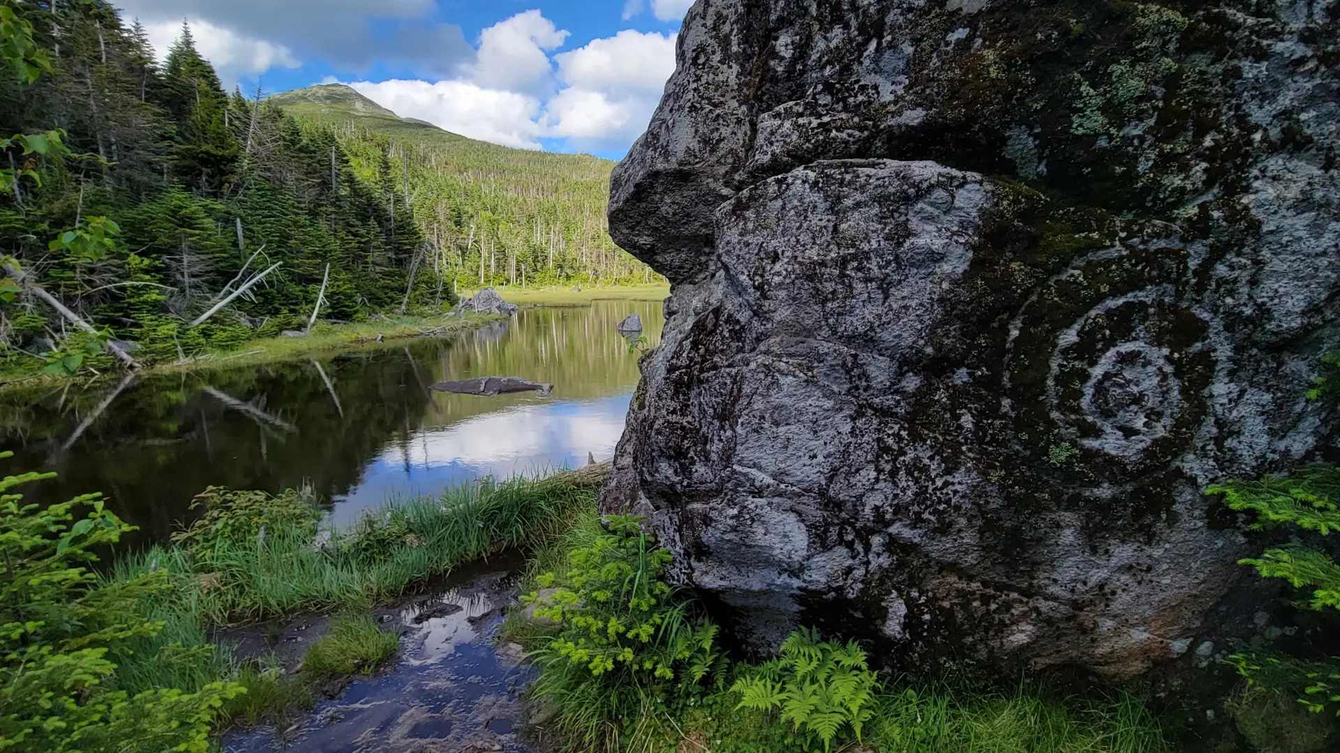 A swirled lichen formation on a rock next to a mountain pond