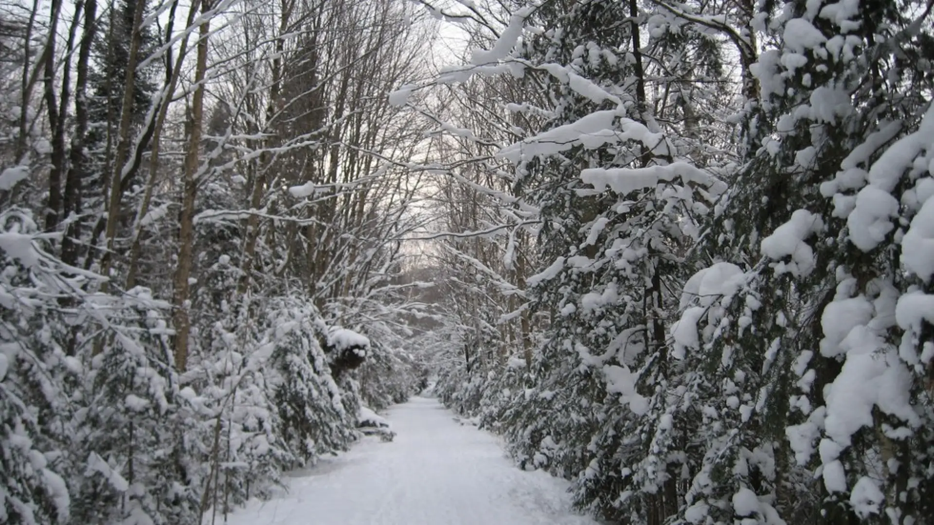 Beautiful winter vistas all the way to the lake.