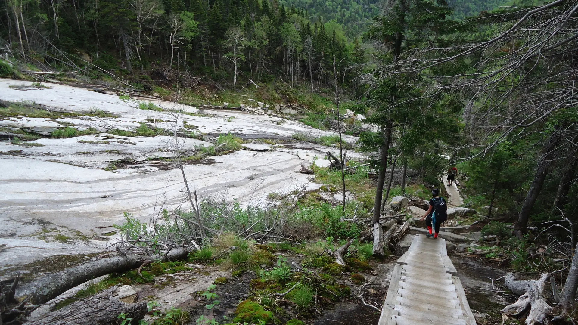 Walking up a long set of wooden stairs on a mountain