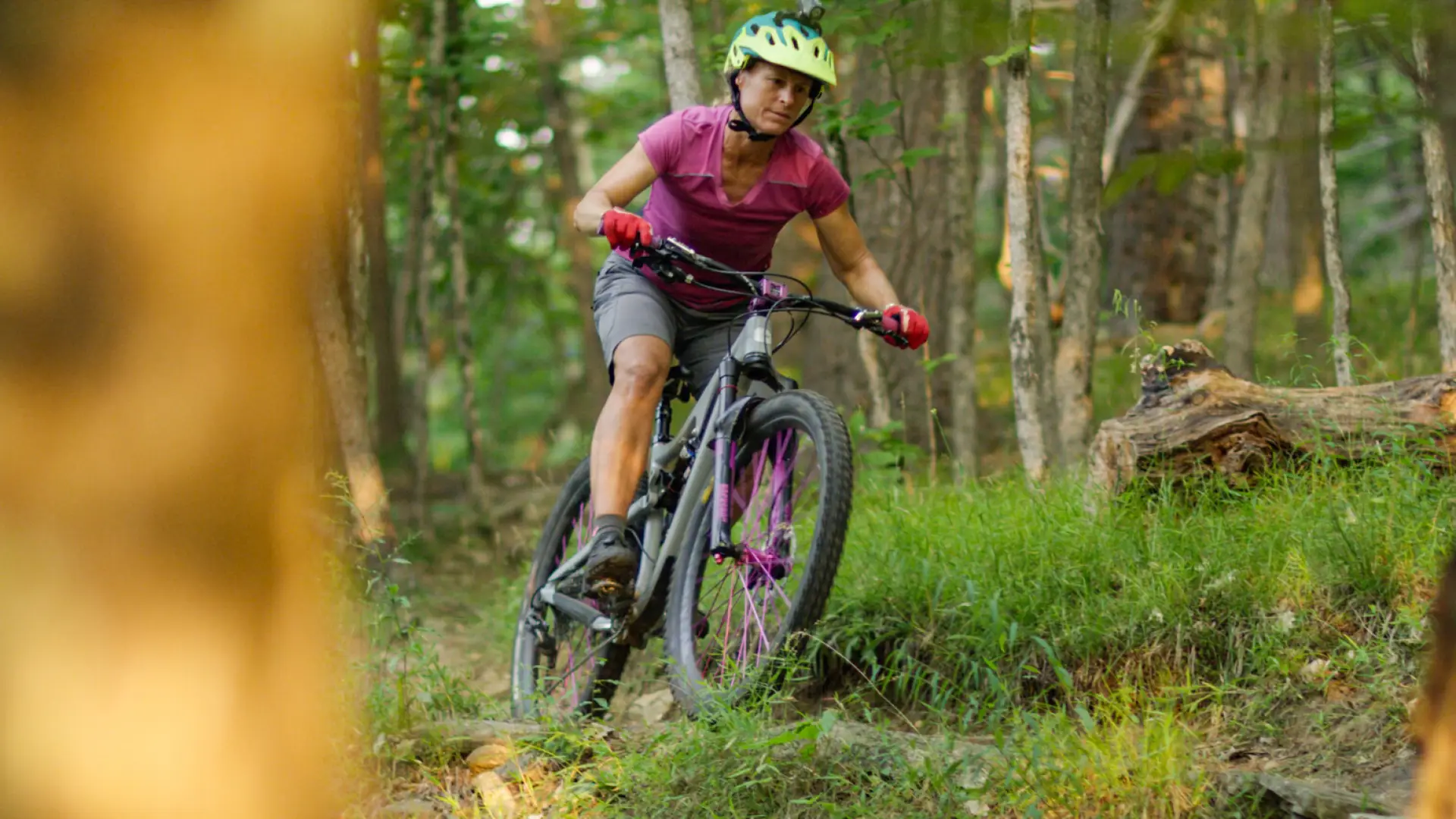Mountain biker on a trail surrounded by bright green vegetation