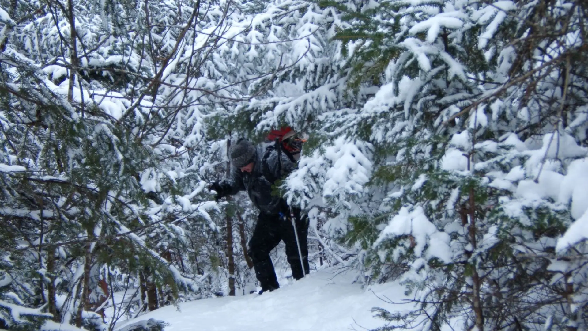 Snowshoeing up the Fire Warden Trail
