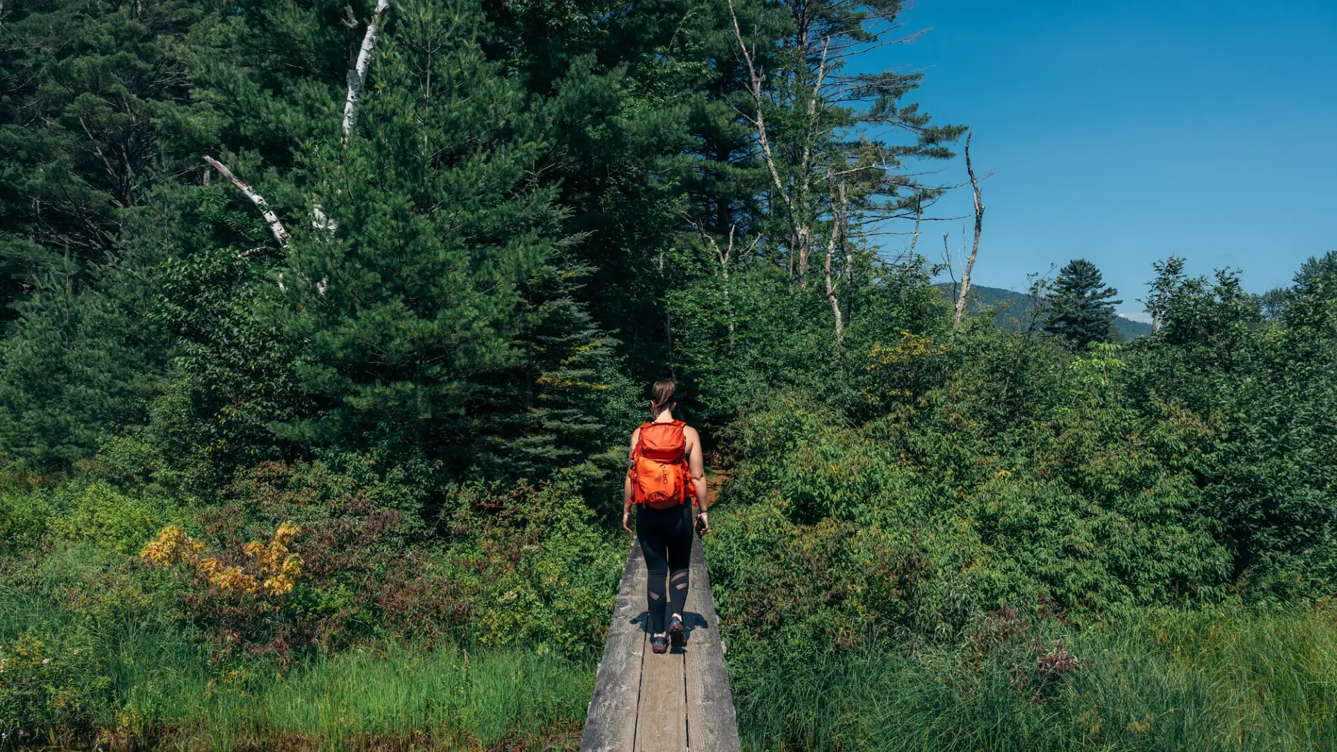 Hiker with red backpack walks on boardwalk over wetland