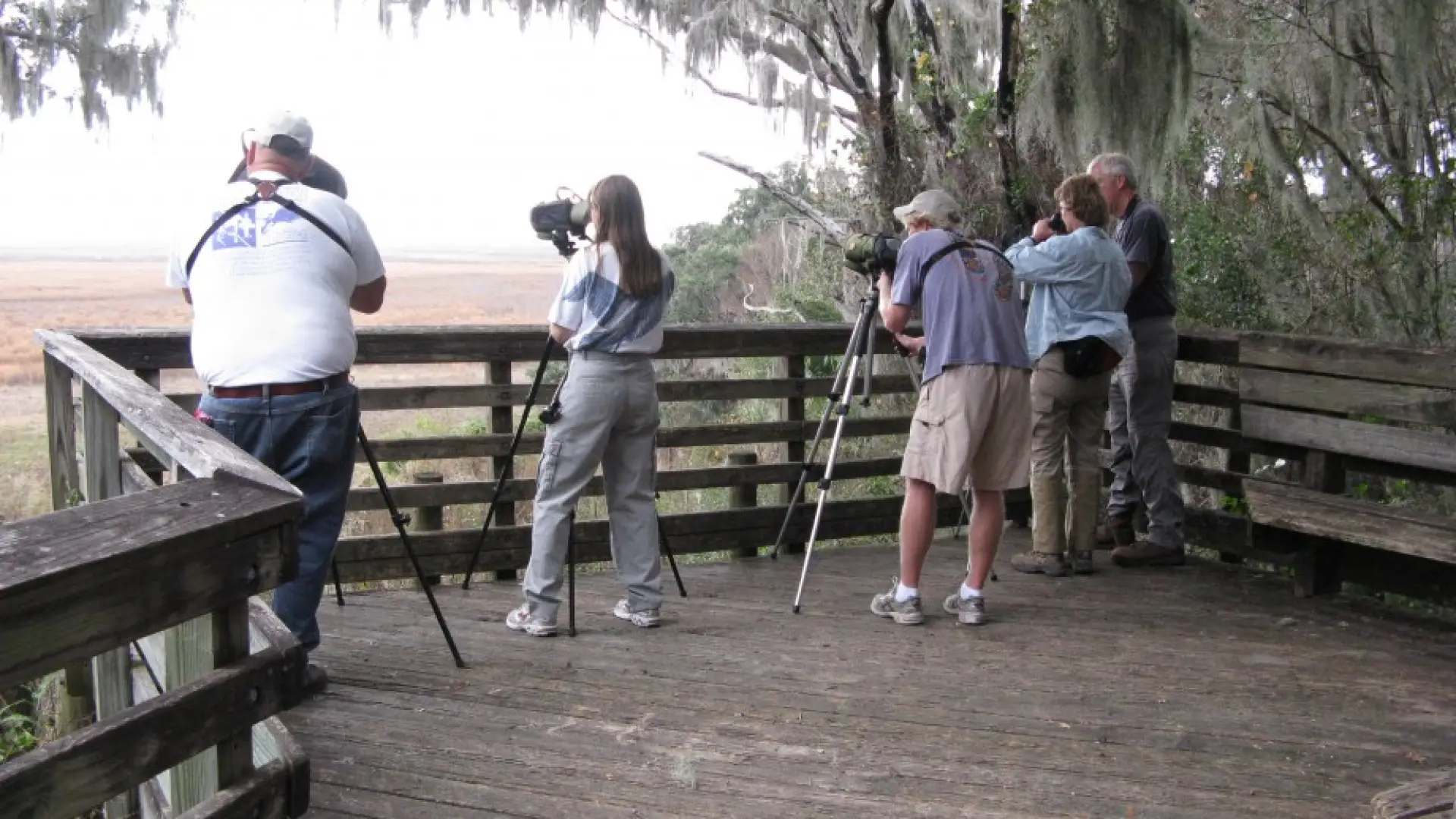 Alachua county CBC