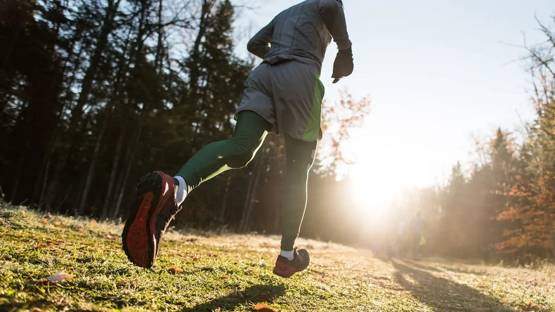 Close up of person's feet as they run on grassy path toward sunlight with bare and evergreen trees on sides of path