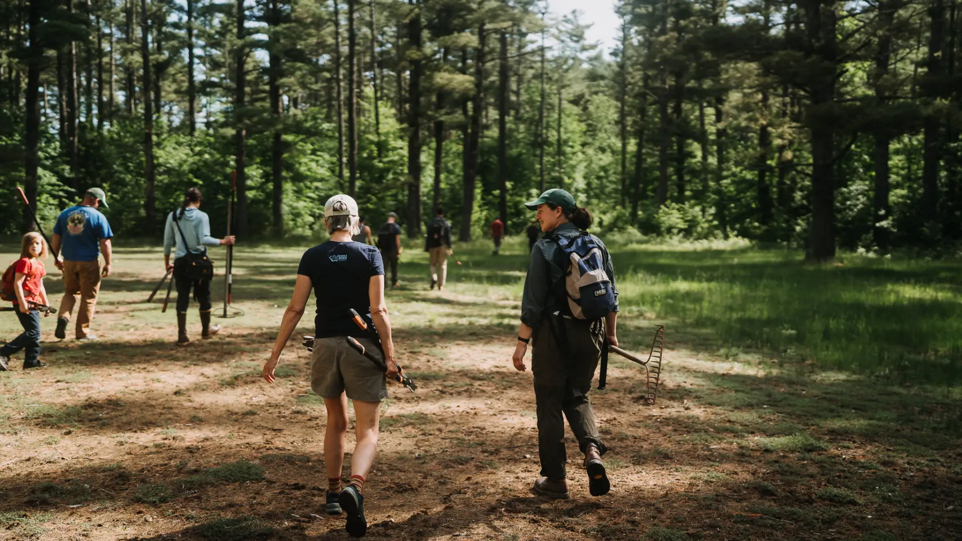 A group of volunteers walk away from the camera through a sunny forest clearing, carrying gardening tools.