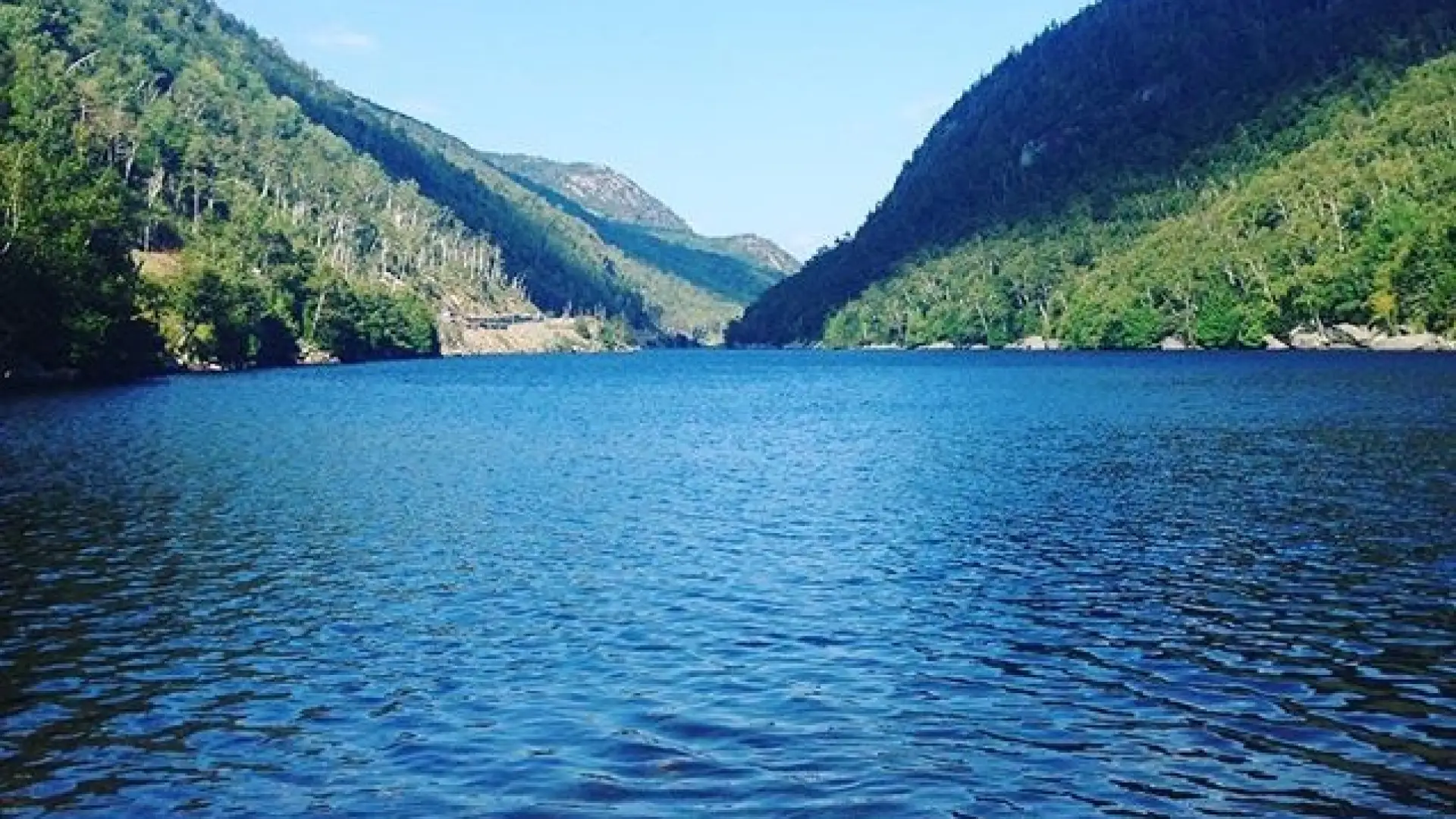 A favorite swimming spot on a hot day.