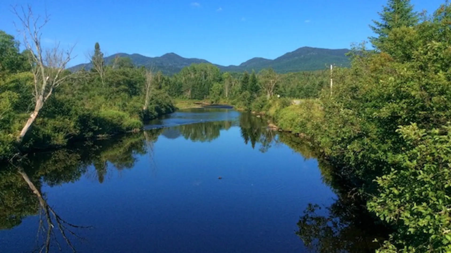 This view from one of the single lane bridges that appears along the route offers fine vantage points for the close and the far away.