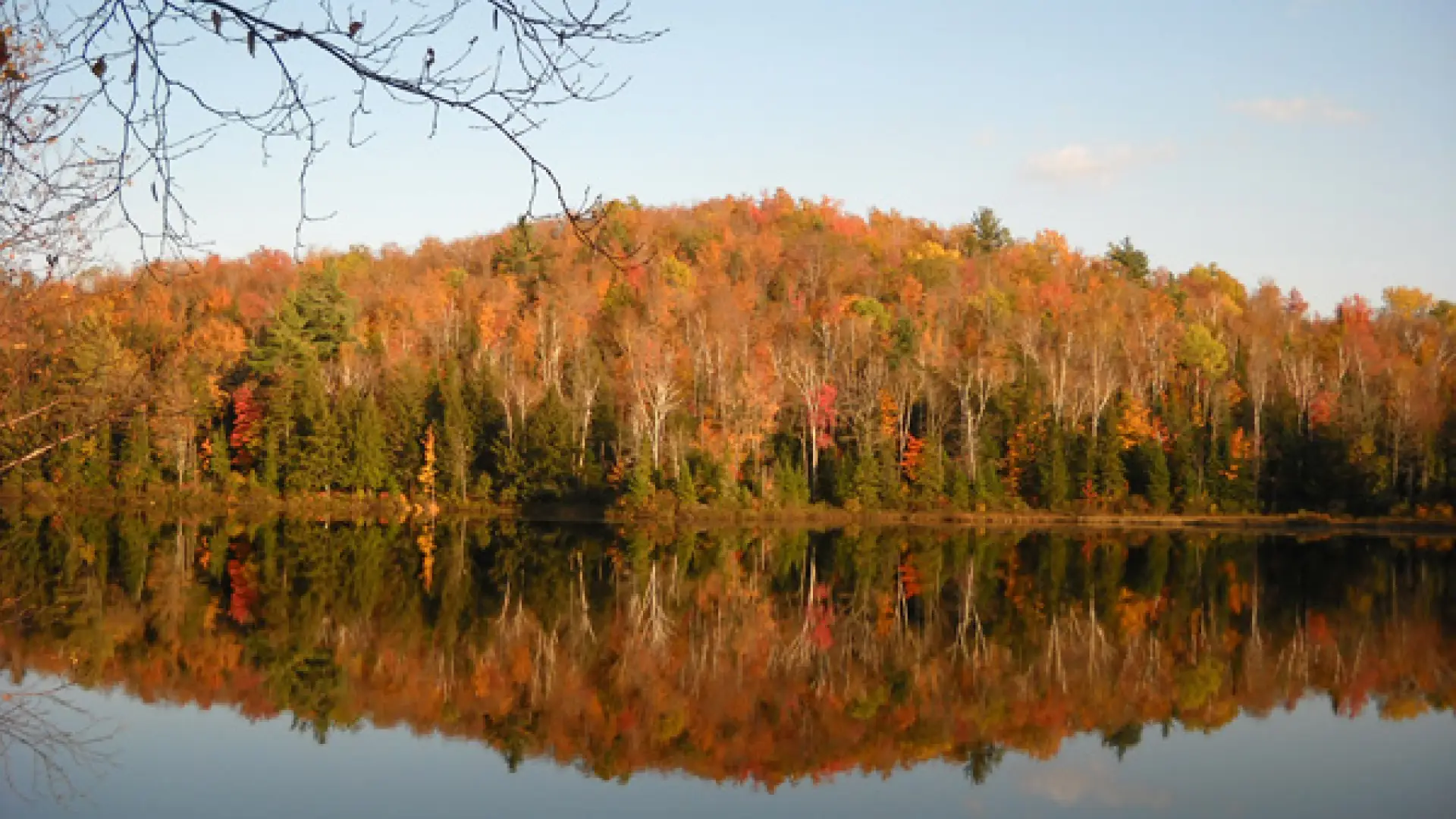 Looking forward: a picture from fall 2011