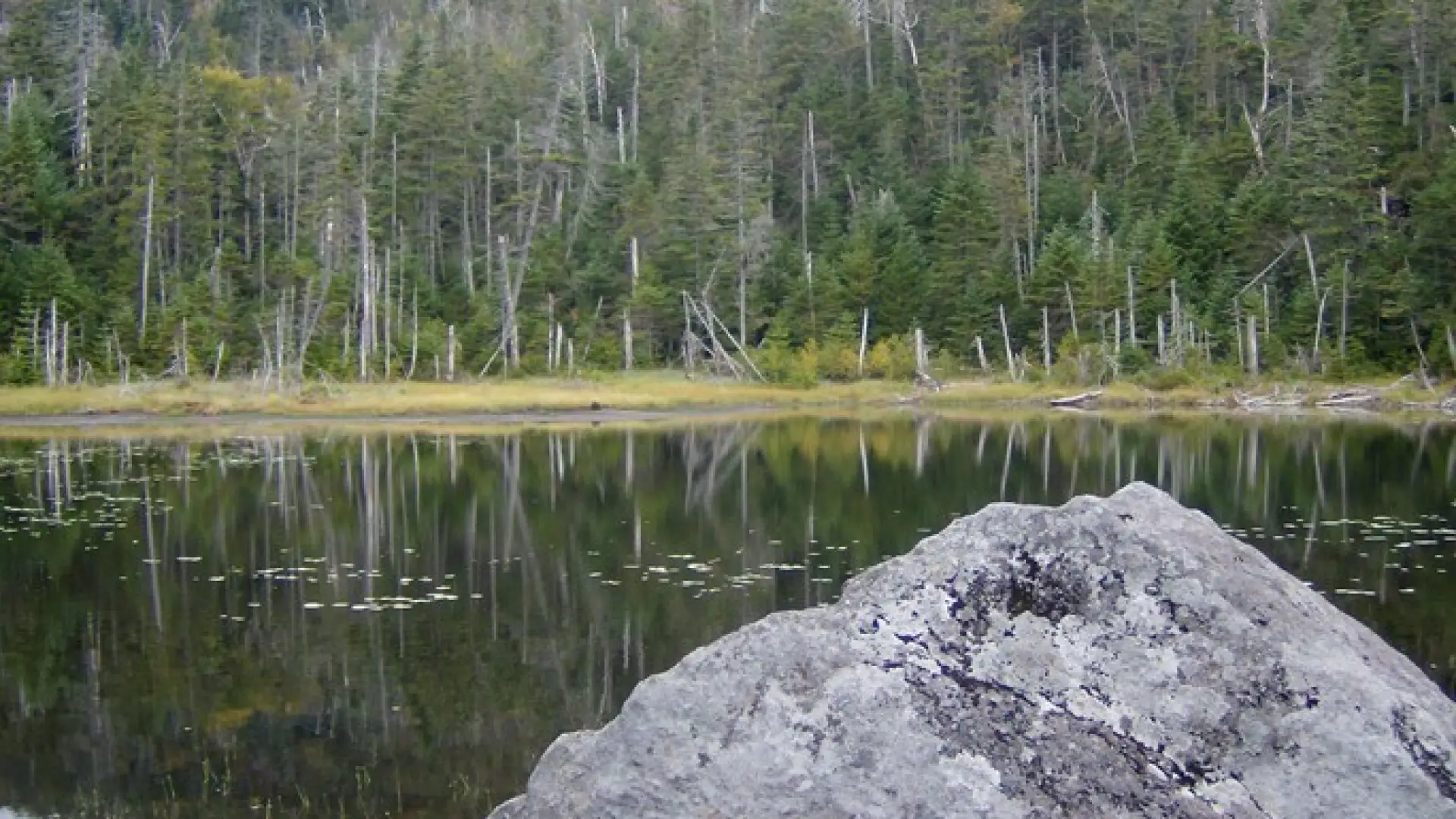 Lake Arnold has bold glacial errata.