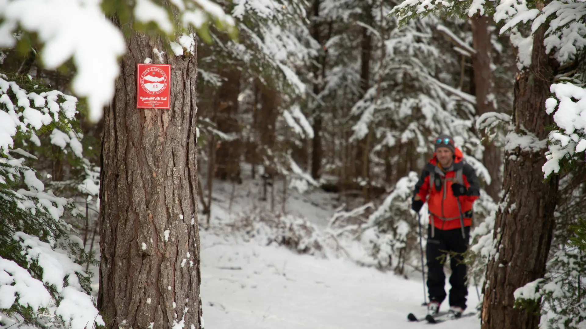 A person skies towards a red trailmarker in the woods.
