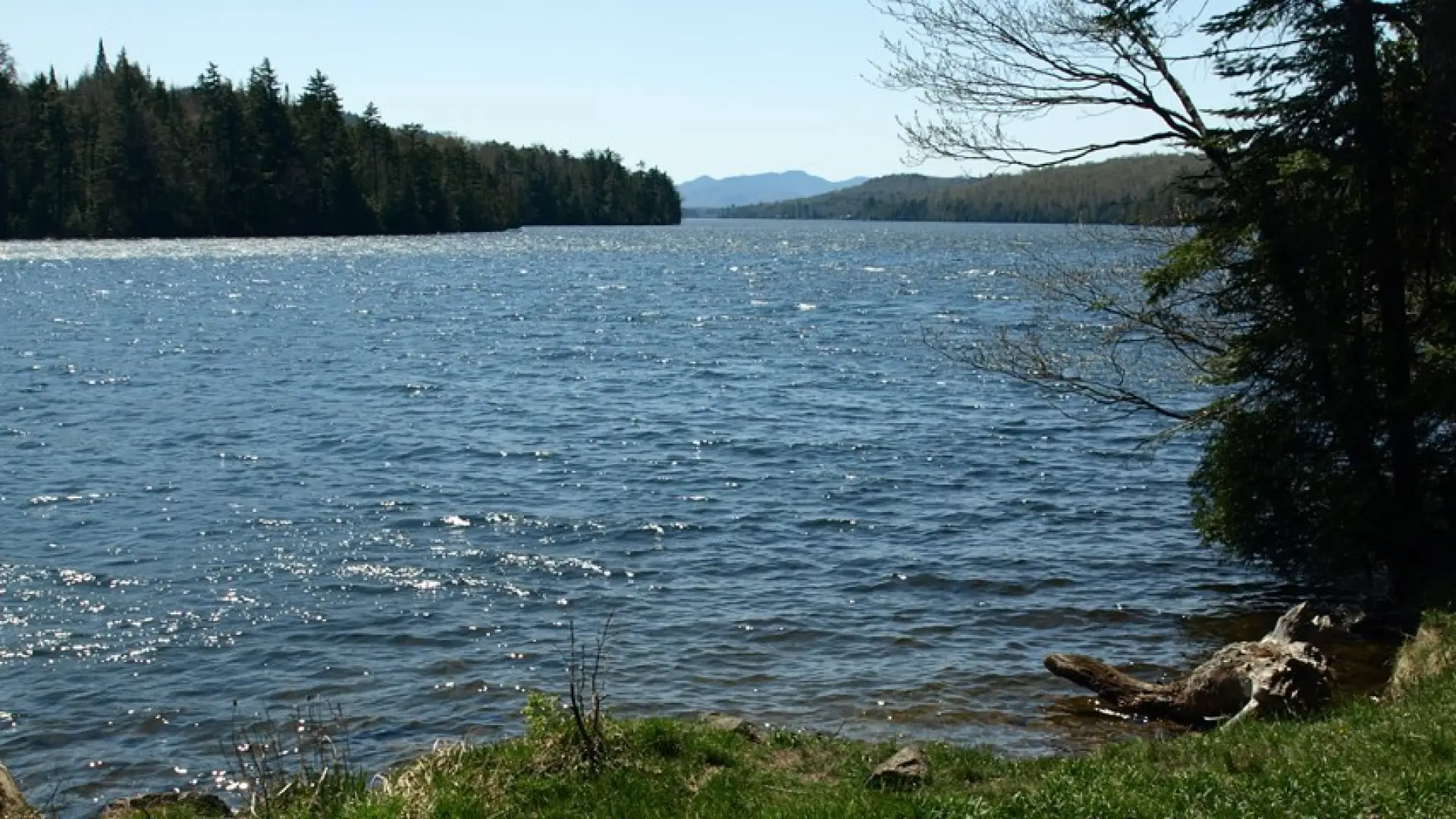 A wild trail to the shore of the lake.