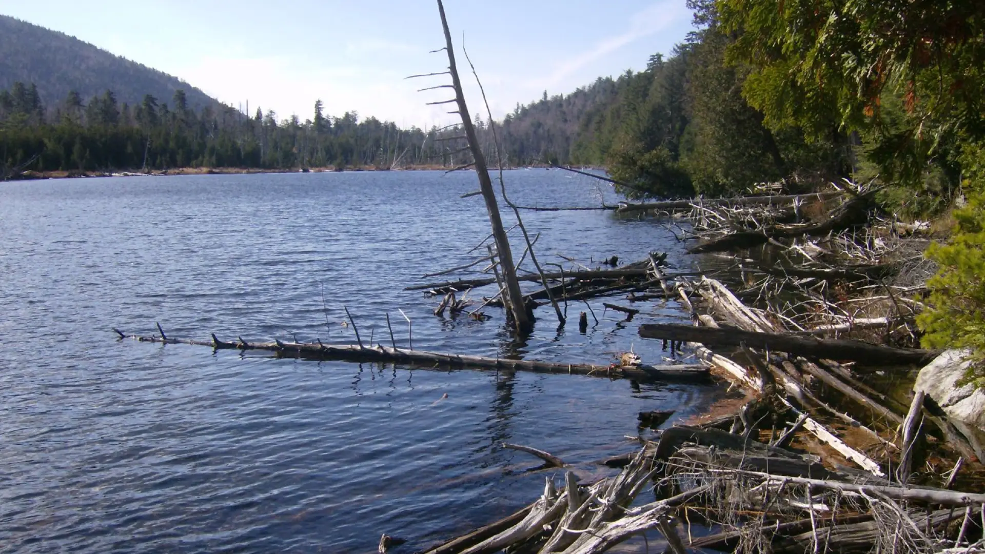 Winch Pond