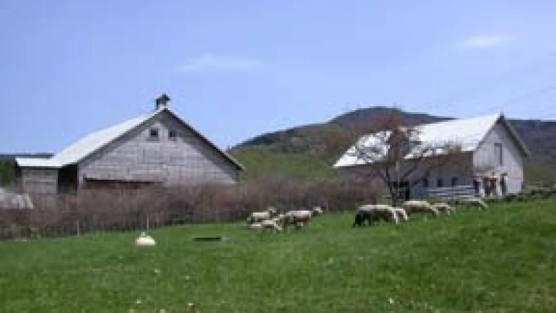 North Country School Farm