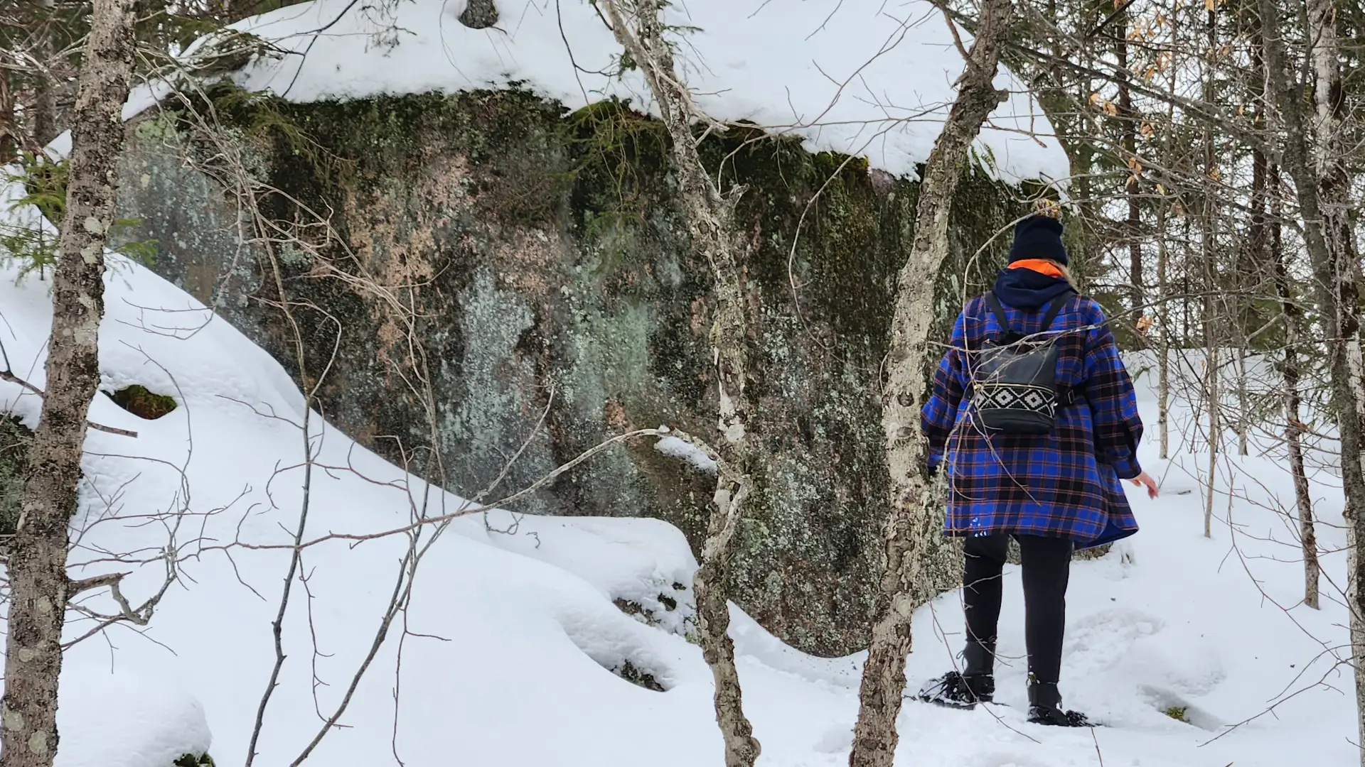 A person in a purple coat contemplates a large rock covered in snow with tree growing from the top