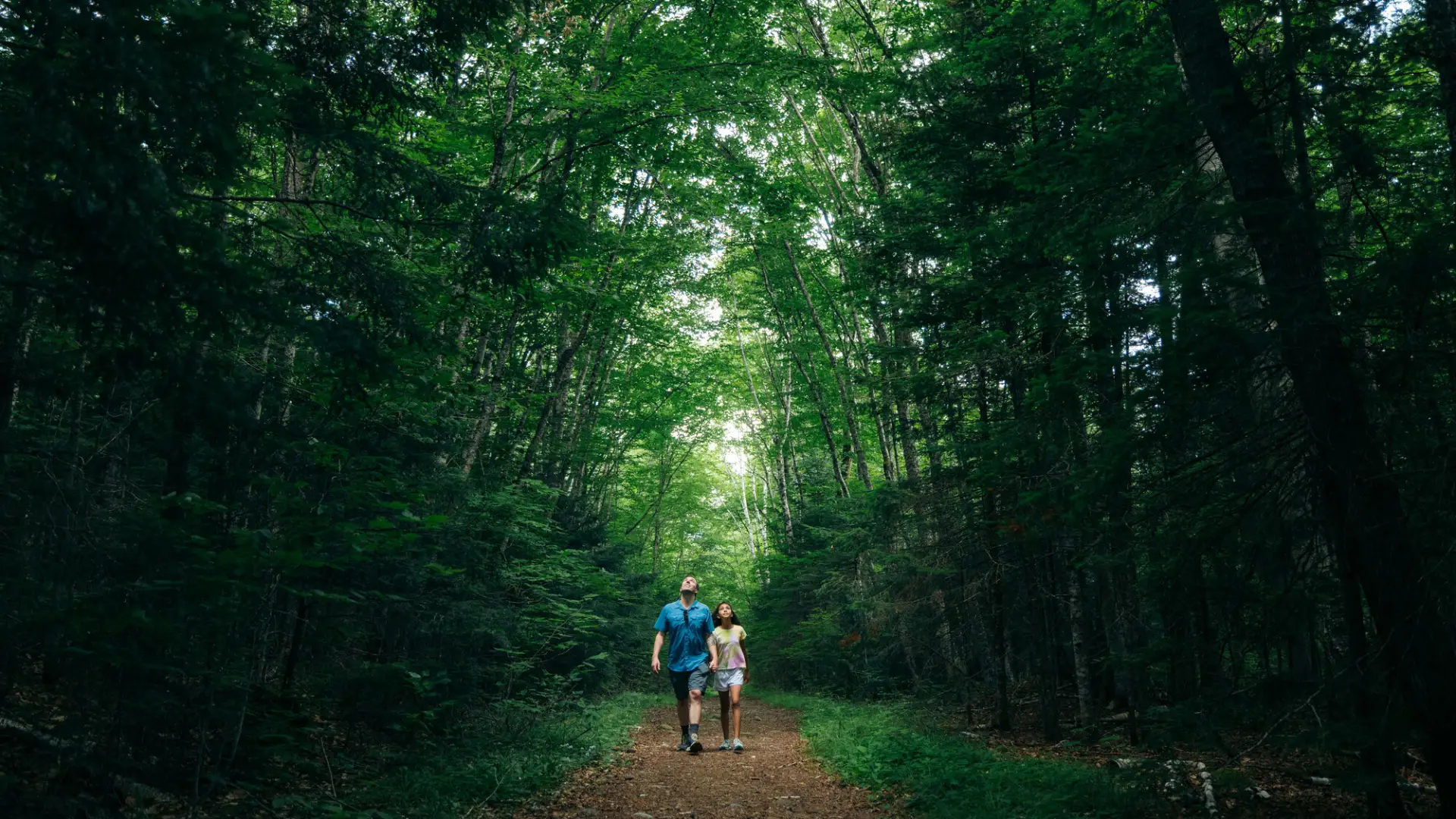 Father and daughter walk on dirt trail in thick green forest