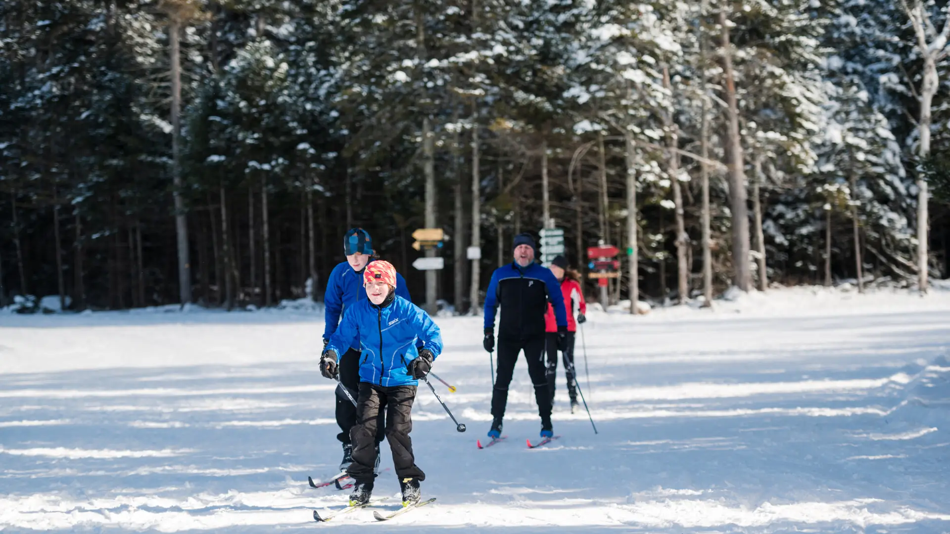A family of four cross-country skis on a flat trail.