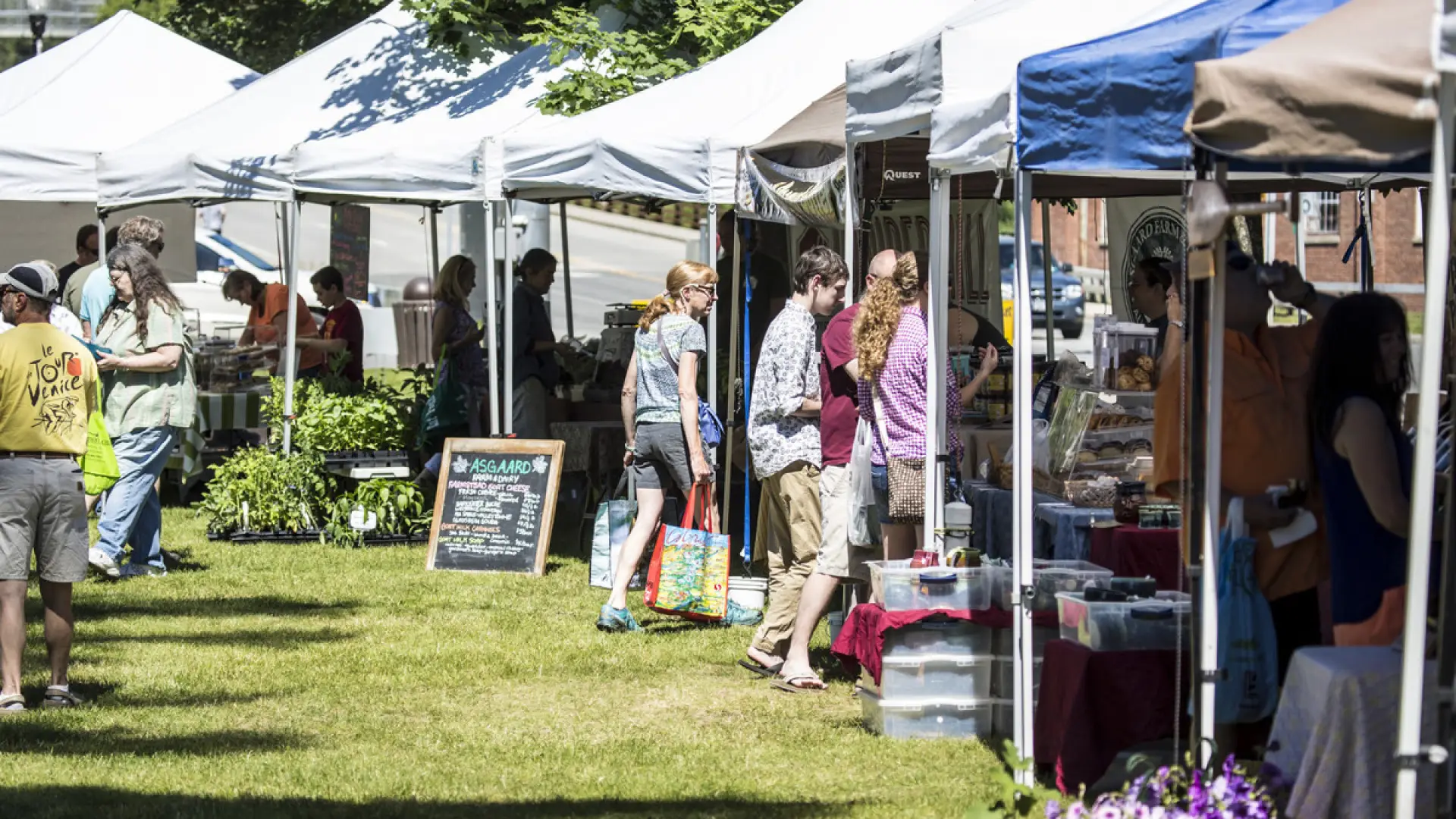 Browse the stalls for refreshment and gifts.