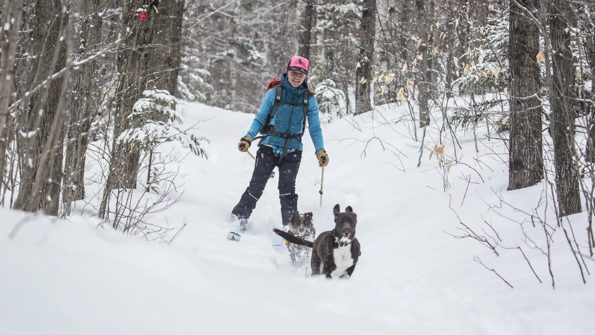This trail is shared with snowmobiles, take care.
