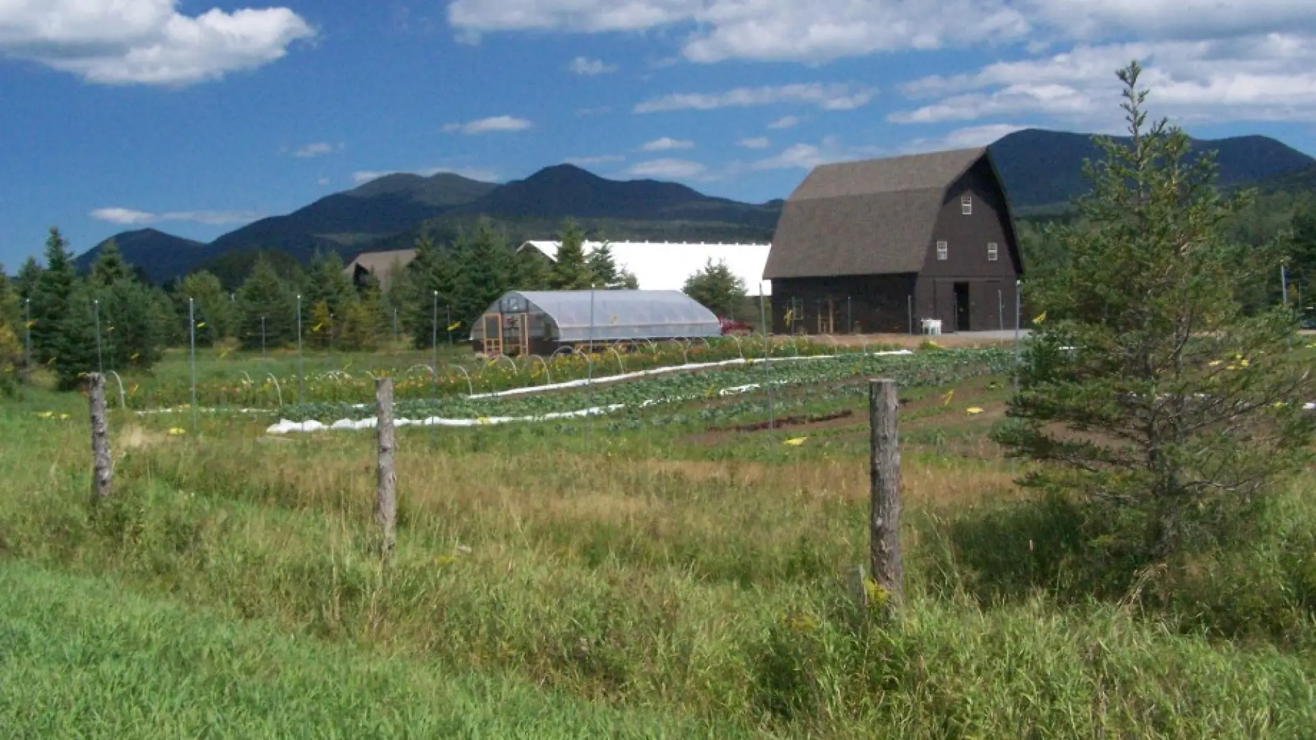 Snowslip Farm