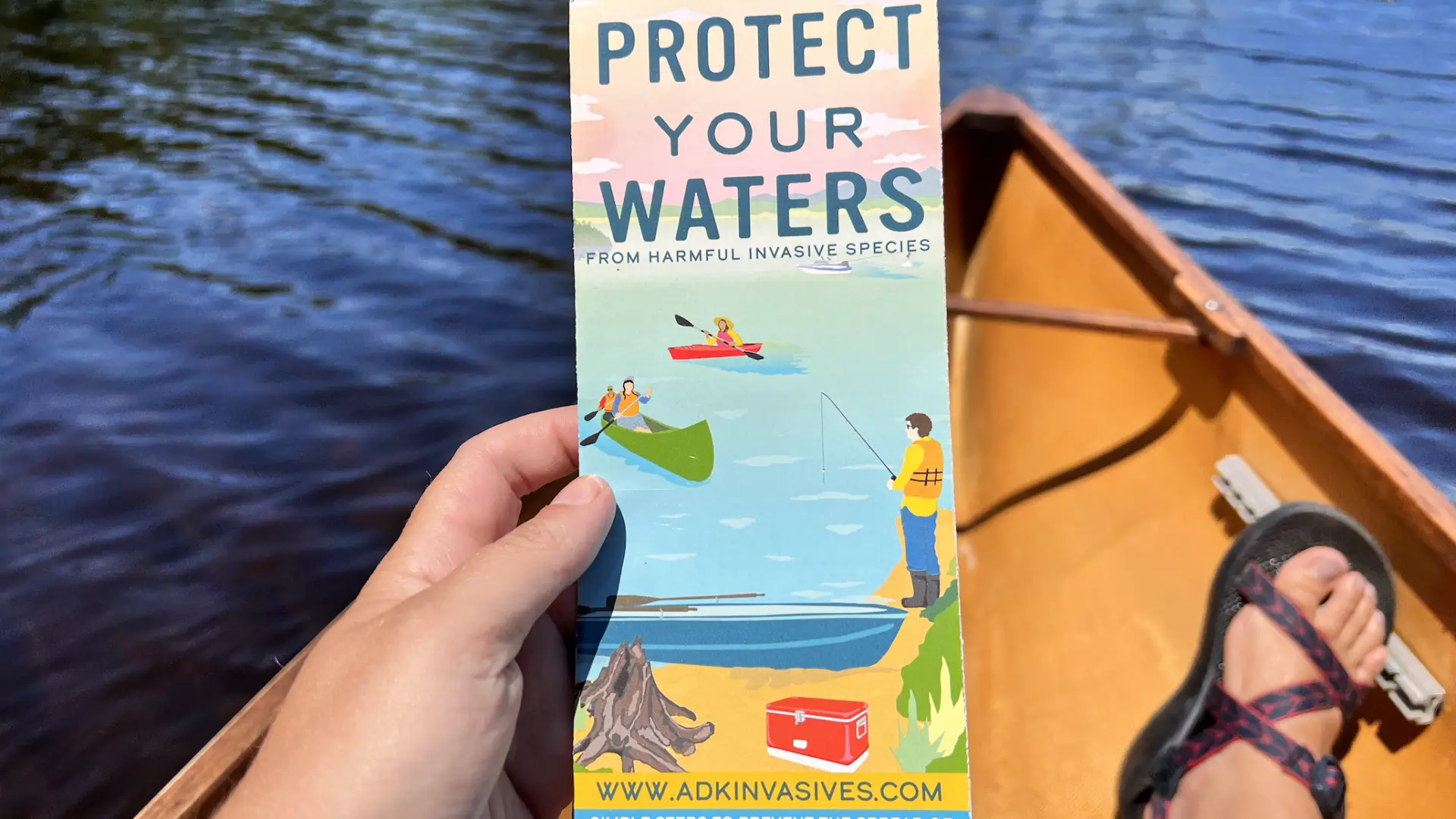 A brochure held in a canoe that explains that harmful effects of invasive species with a graphic.
