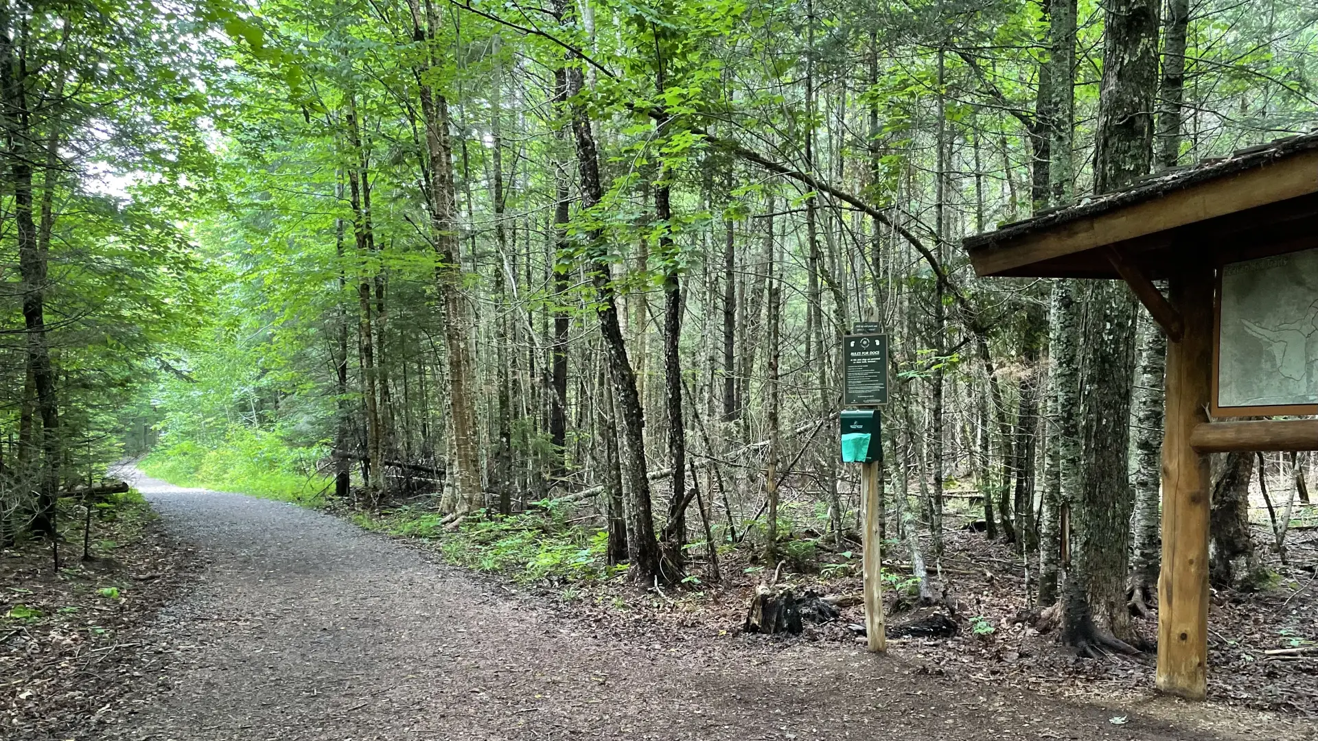 A gravel trail winds through a forest, leading to a wooded area.  A trailhead sign and a dog waste bag dispenser are visible to the right.